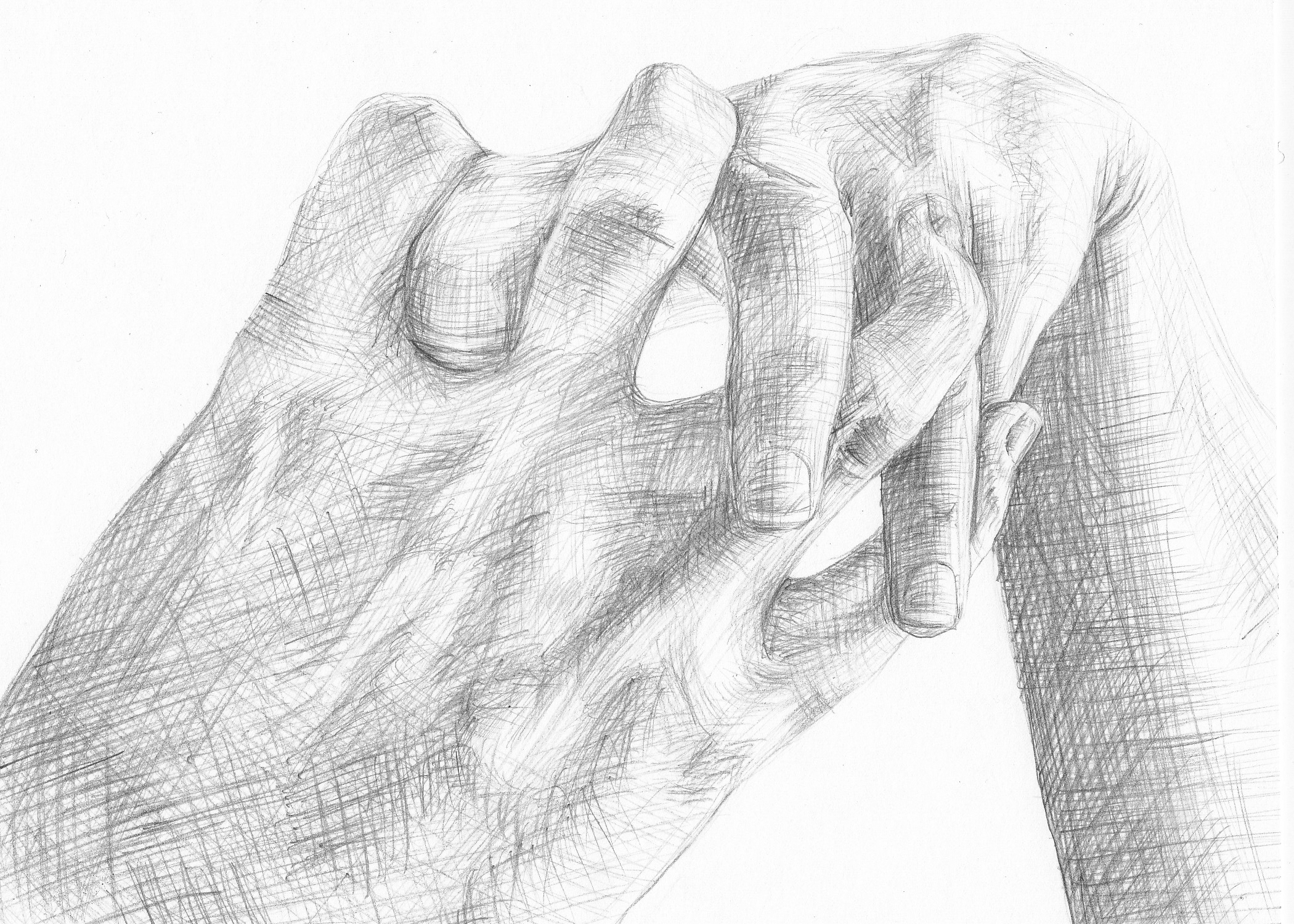 Entagled 7” x 5”, Graphite on Bristol board $45