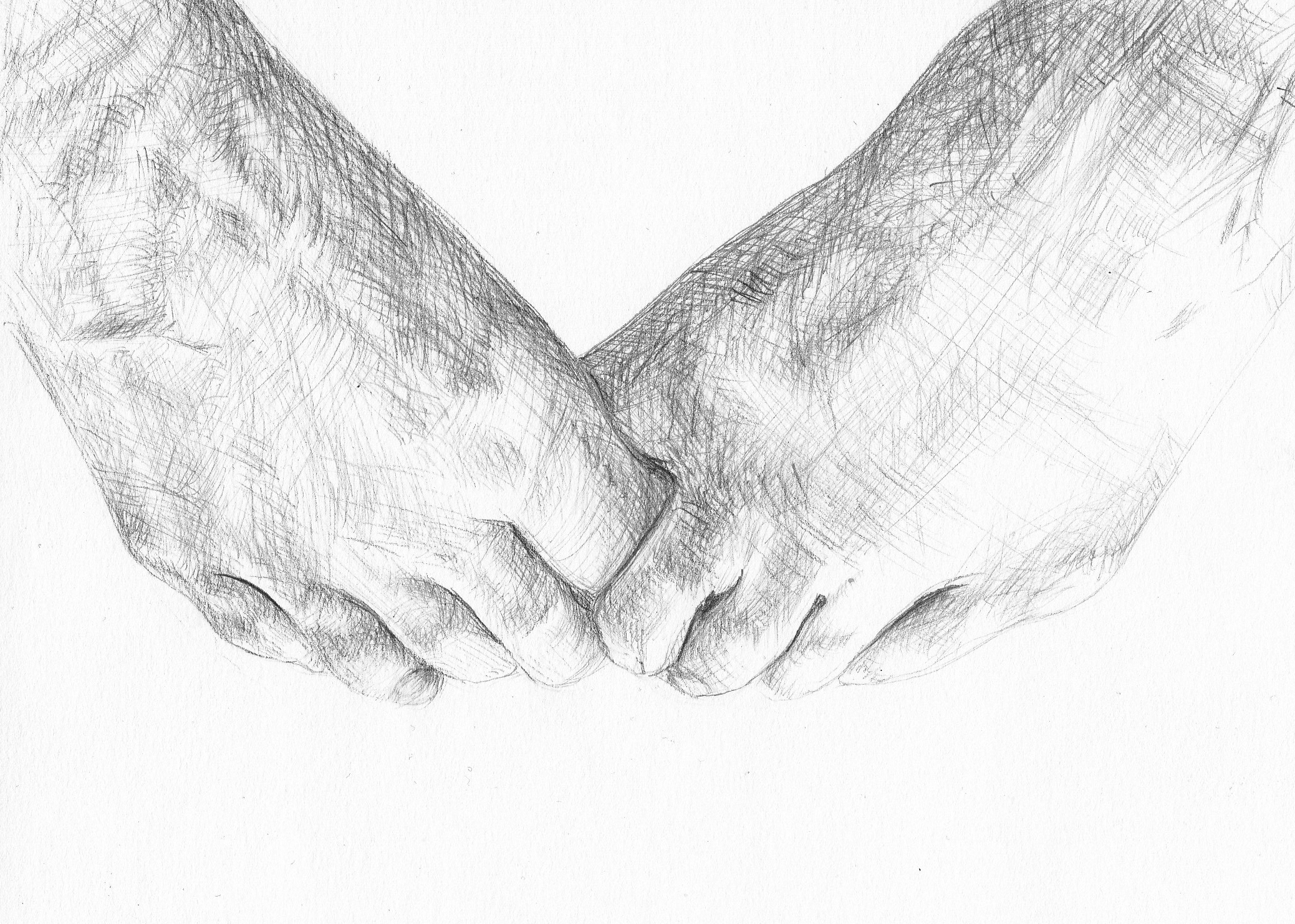 Best Friends 7” x 5”, Graphite on Bristol board $40