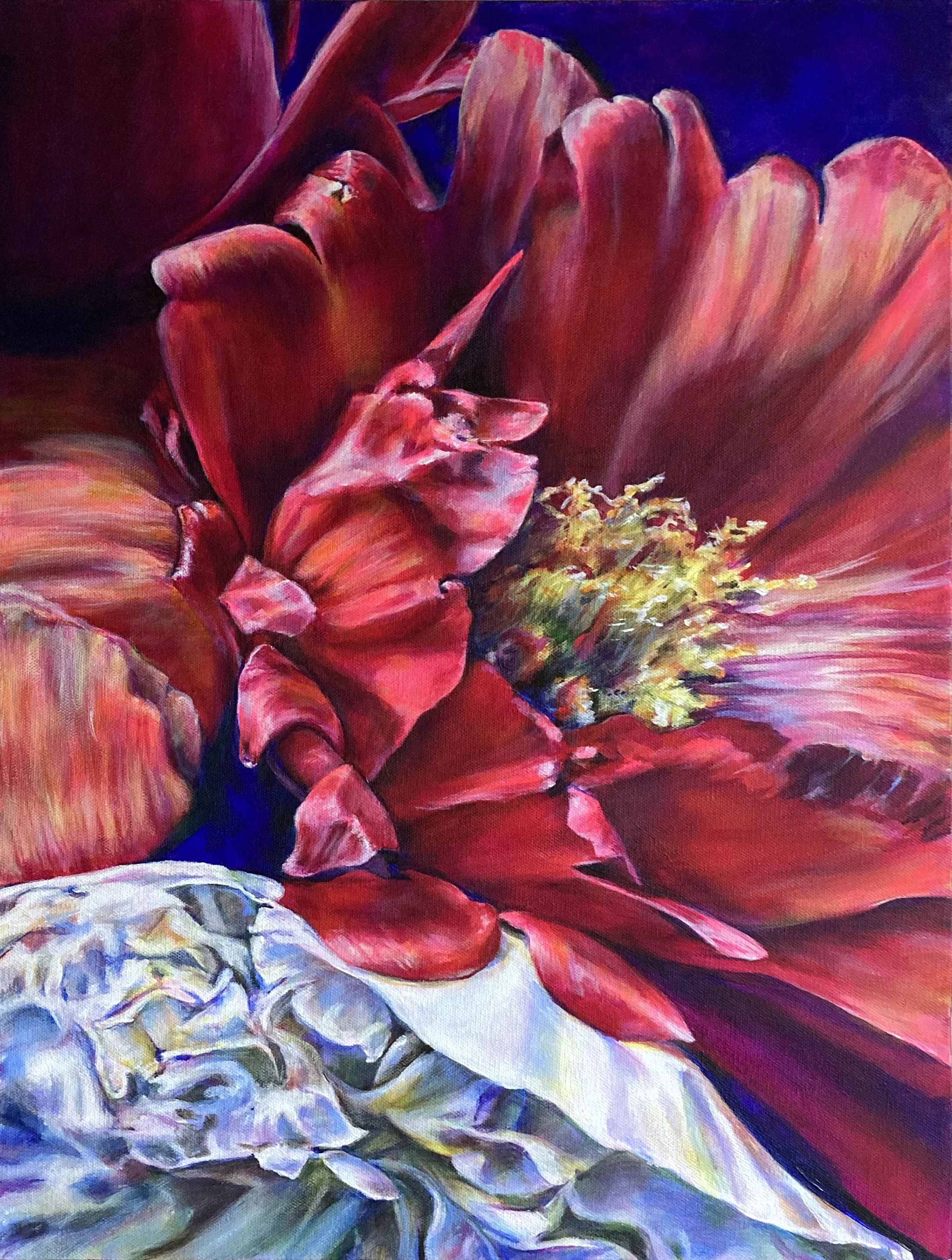 Open to you Cropped.jpg