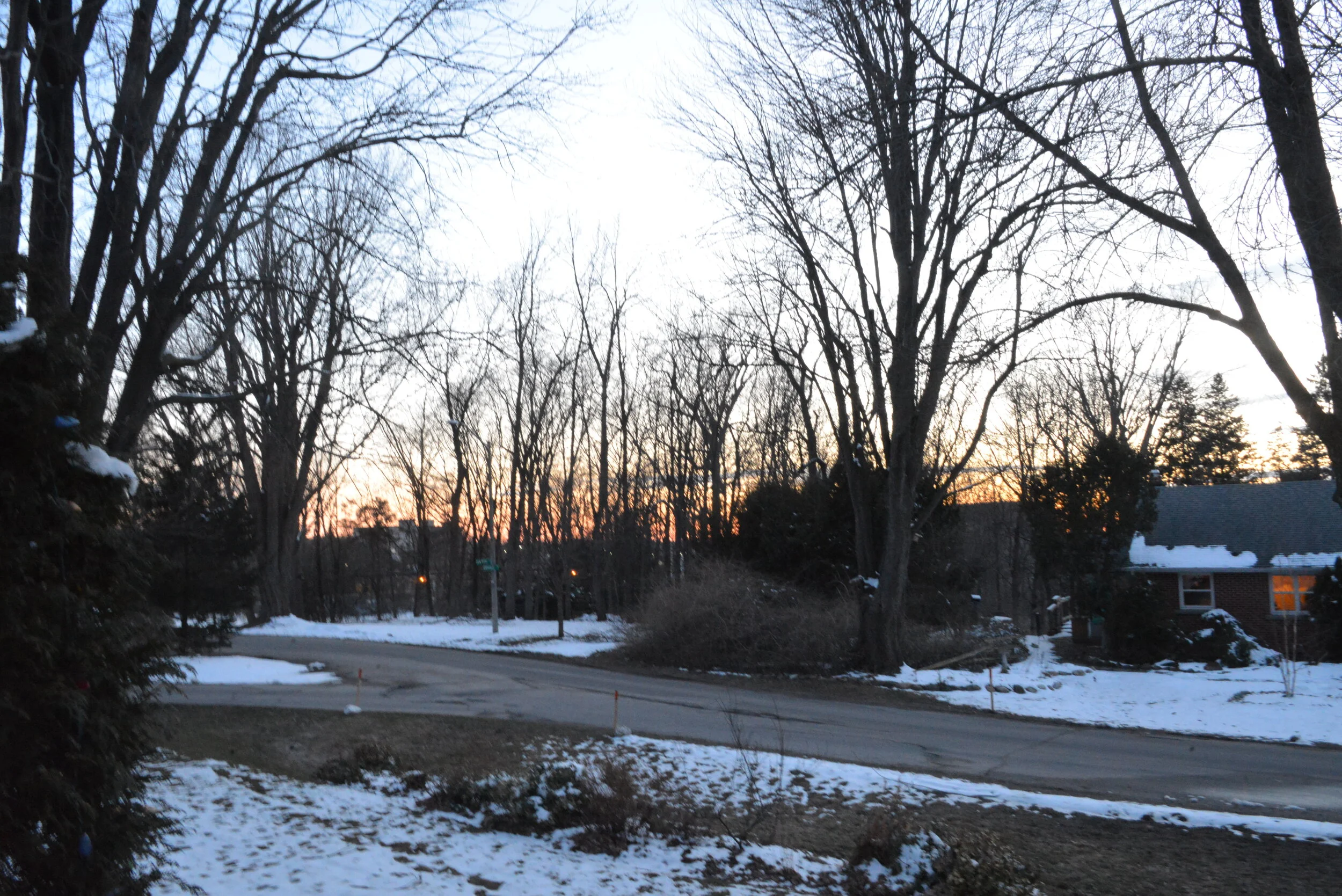 DSC_4966.jpg
