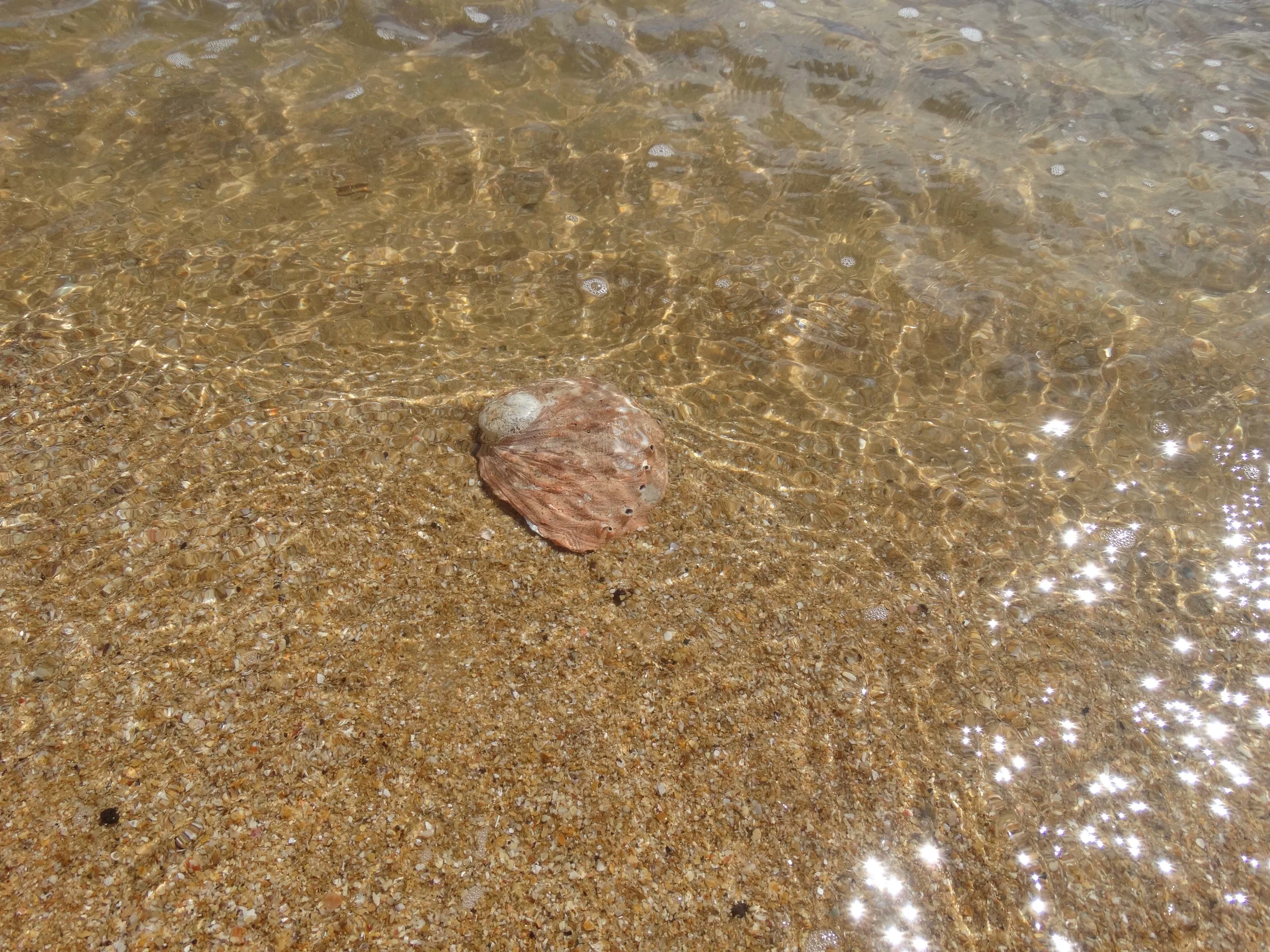 DSC00365.jpg
