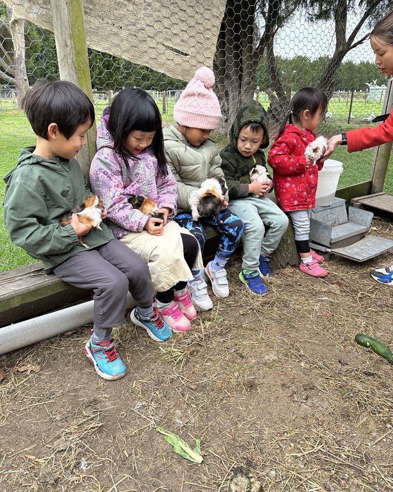 There&rsquo;s a 🐹 Guinea Pig 🐹 for everbody at Ripples n Tonic farm. 
Book your stay to be part of the fun 🤩 
Loads of cuddle 🥰 time 

#ripplesntonic #petfriendly #visitphillipisland #accessibletravel #destinationphillipisland #farmlife #farmstay