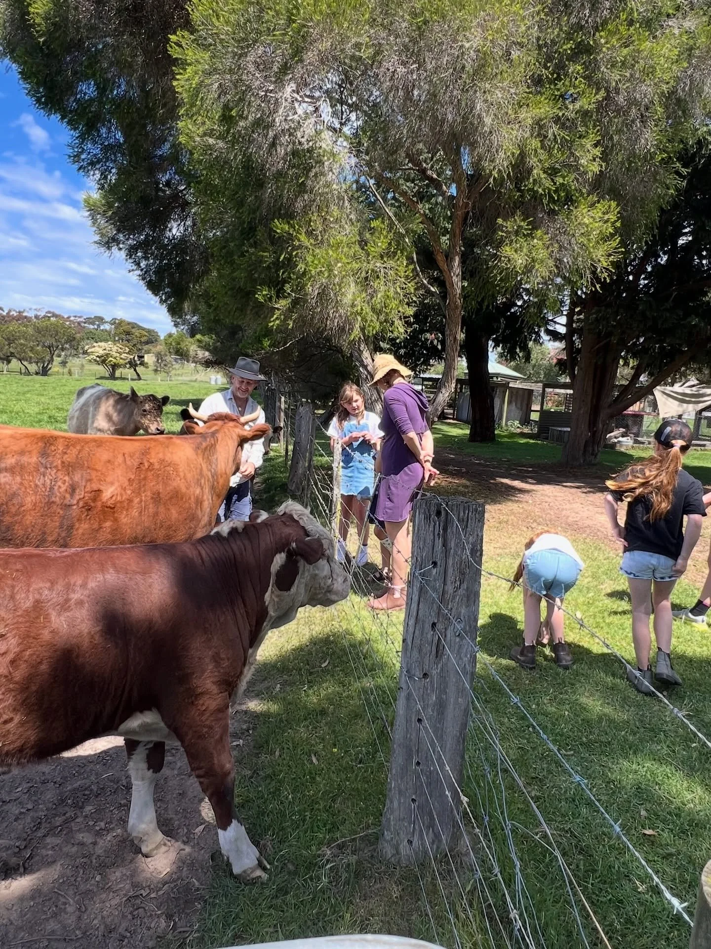 🐑 &ldquo;9AM Animal Feeding Chaos&rdquo;

POV: You booked a farmstay with kids&hellip; and suddenly you&rsquo;re a farmer. 🐑😂
9:00am on the farm looks like this:
🐐 Goats yelling for breakfast
🐓 Chickens running everywhere
🐑 Sheep waiting at the