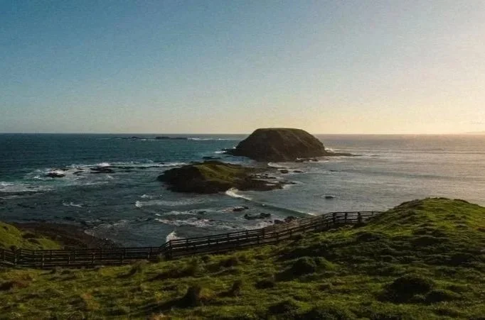 Why Winter Is the Best Time to Visit Phillip Island