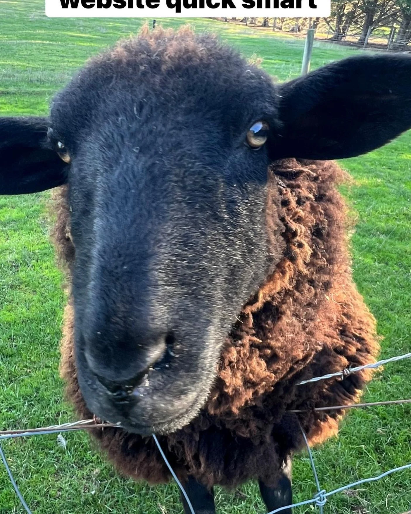 Limited availability for next weekend ~ Kings birthday ~ get on it.  #weekendaway #getaway #farmstay