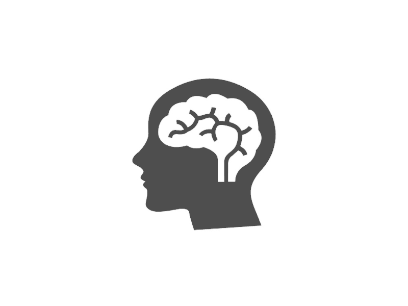 brain.png