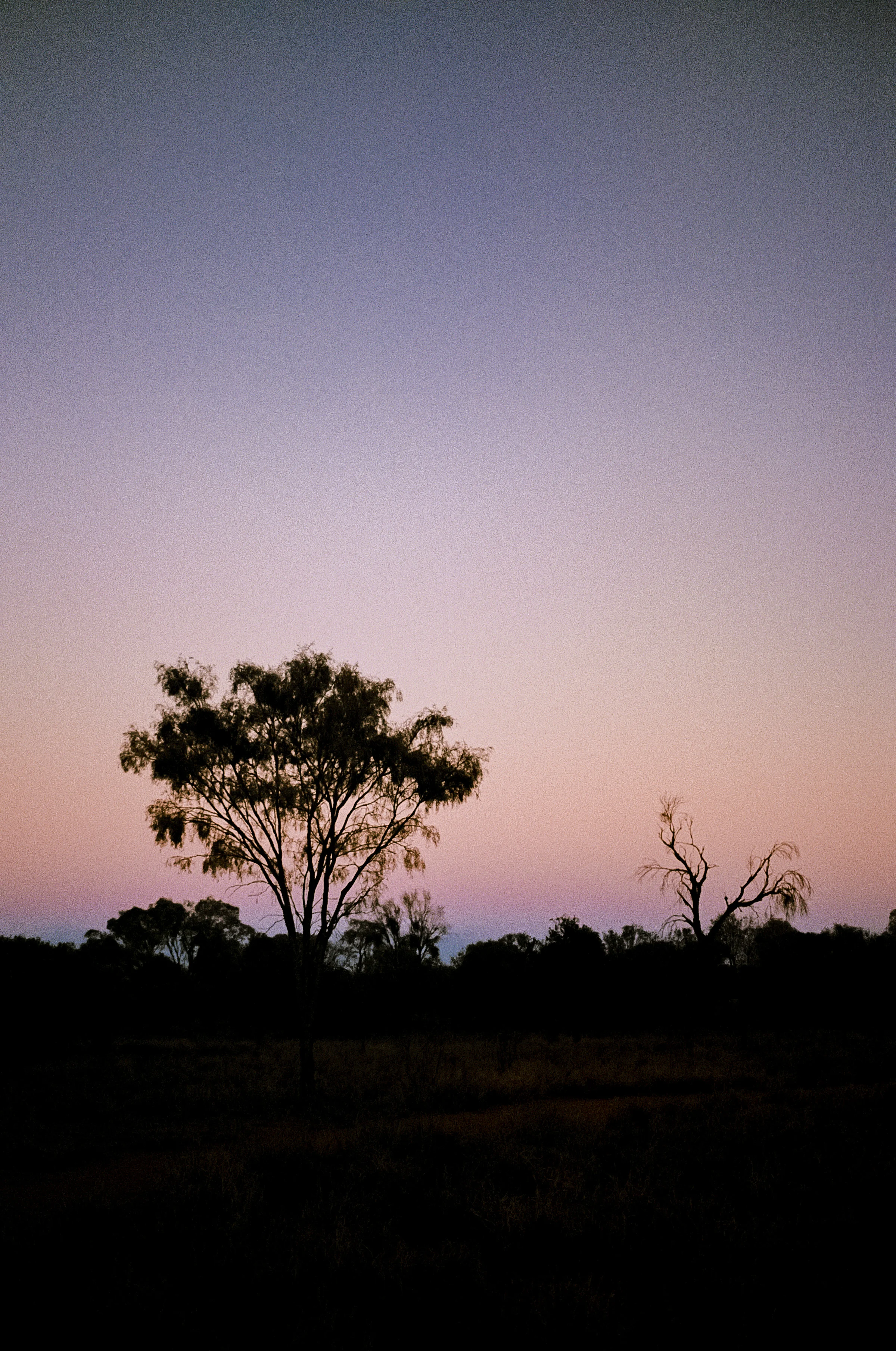 Central_Aus_JT-58.jpg