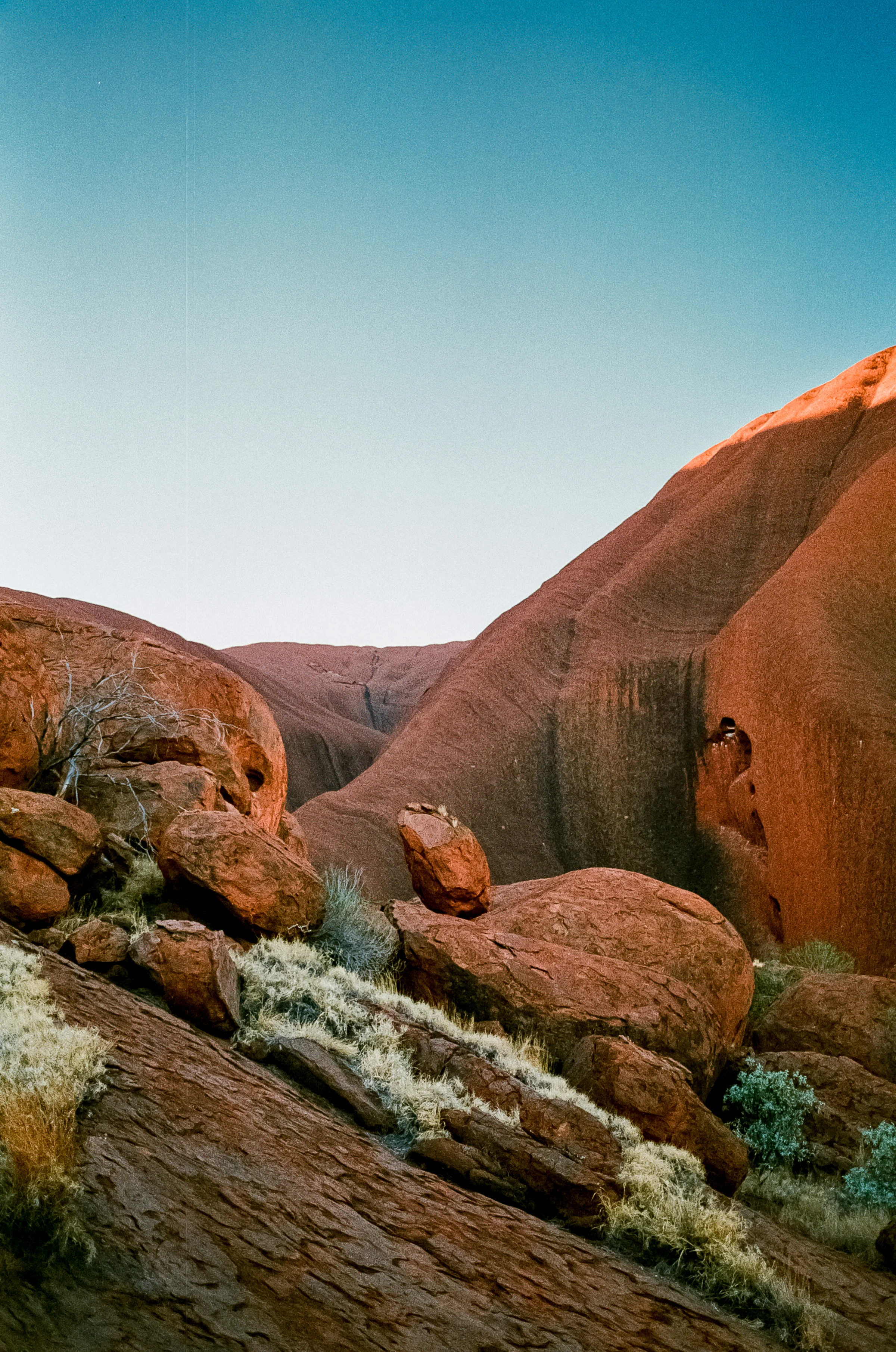 Central_Aus_JT-20.jpg