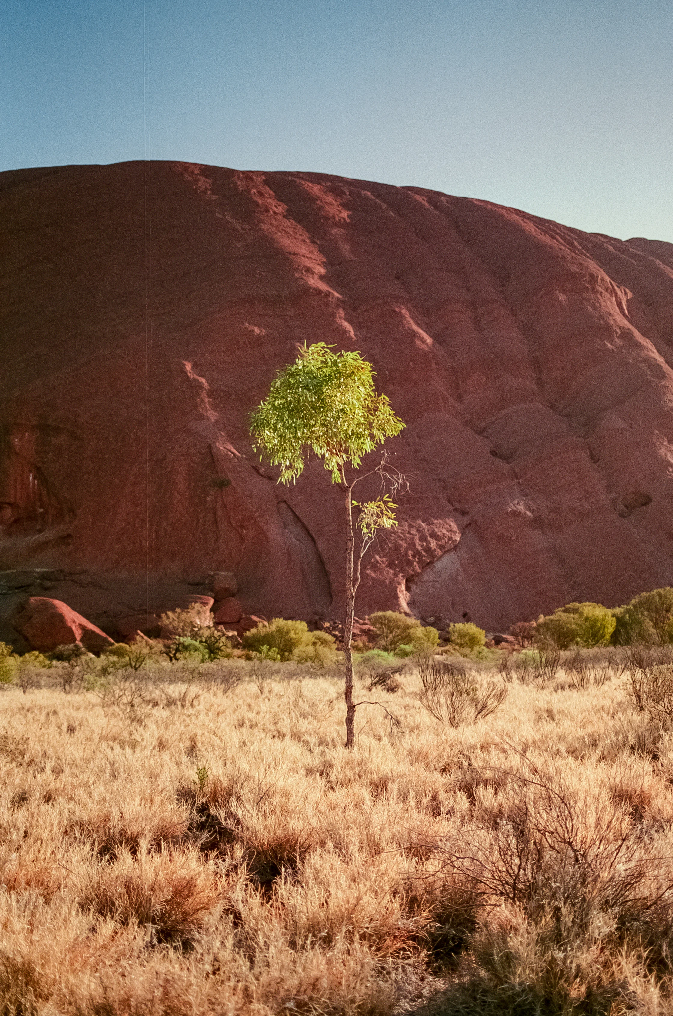 Central_Aus_JT-25.jpg