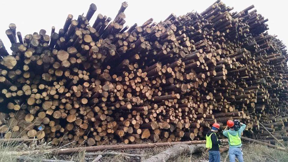 Telly Award Winner: Domtar: Paper Made Here by Eastward Films