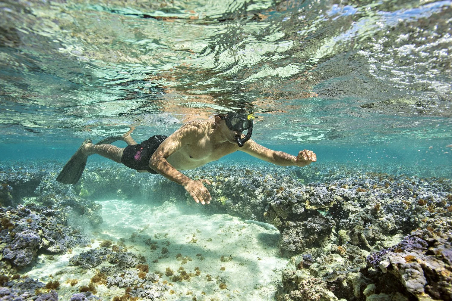 National Geographic's Sea of Hope