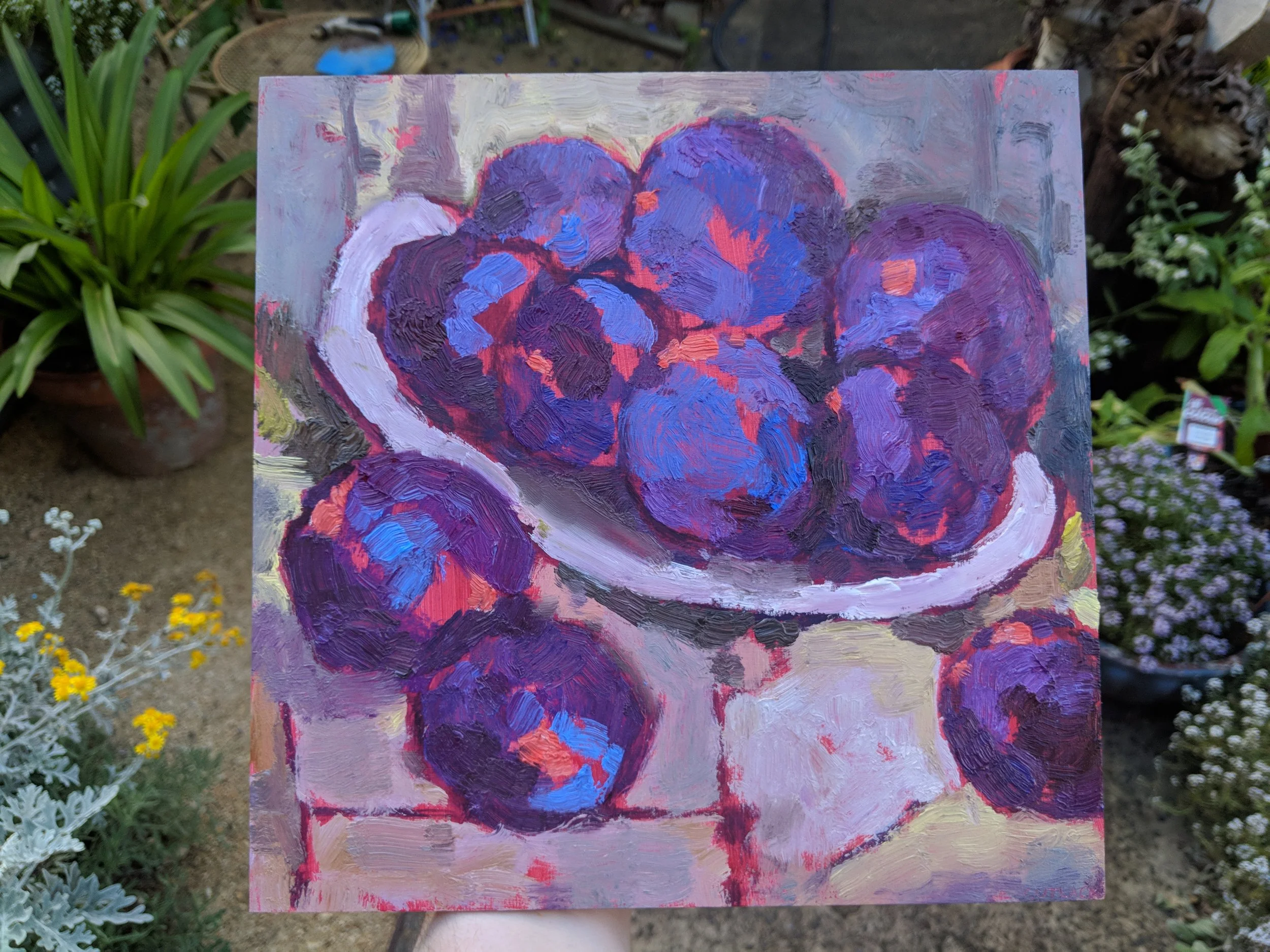 plums2.jpg