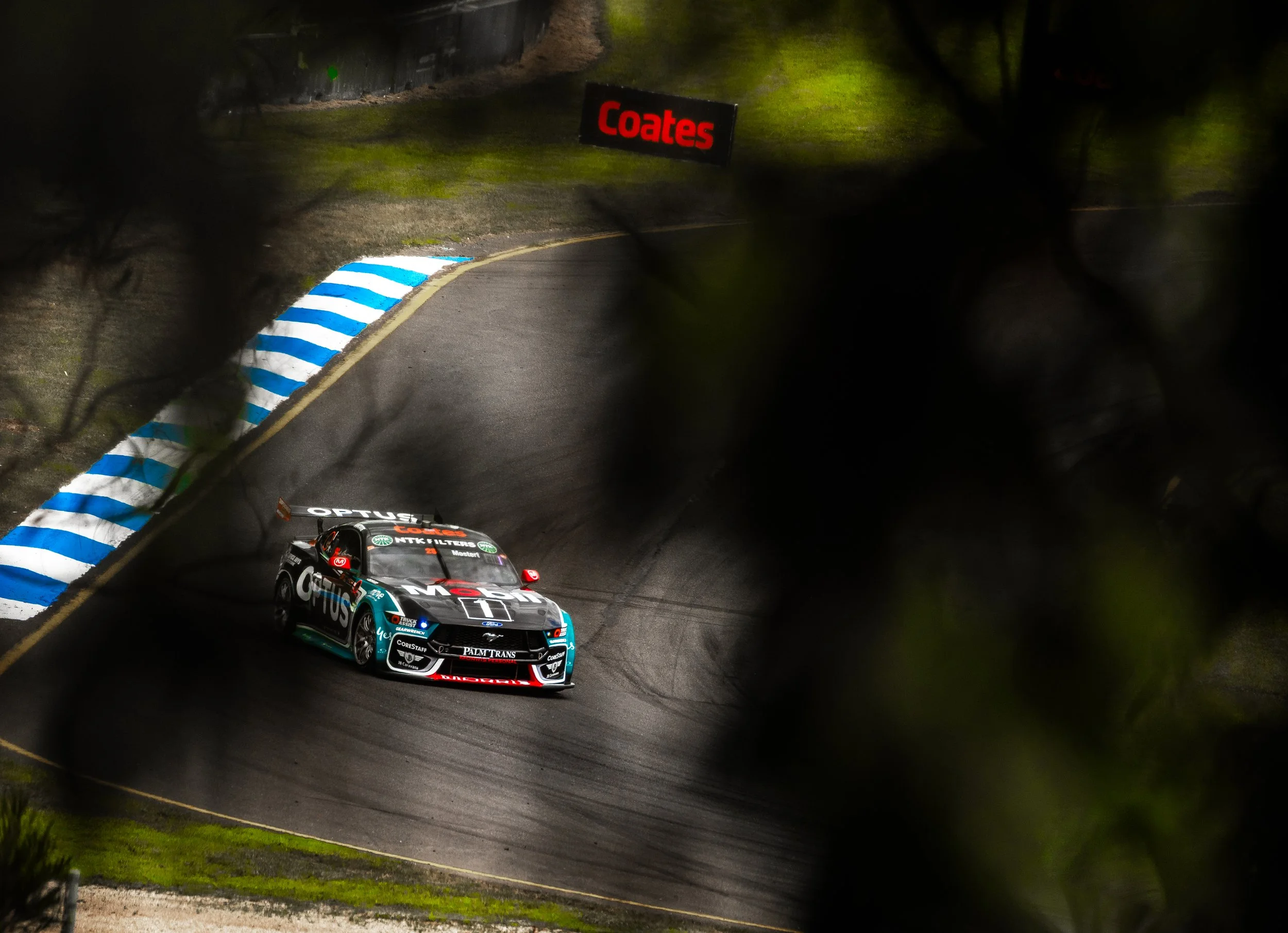 Motorsport-51.jpg