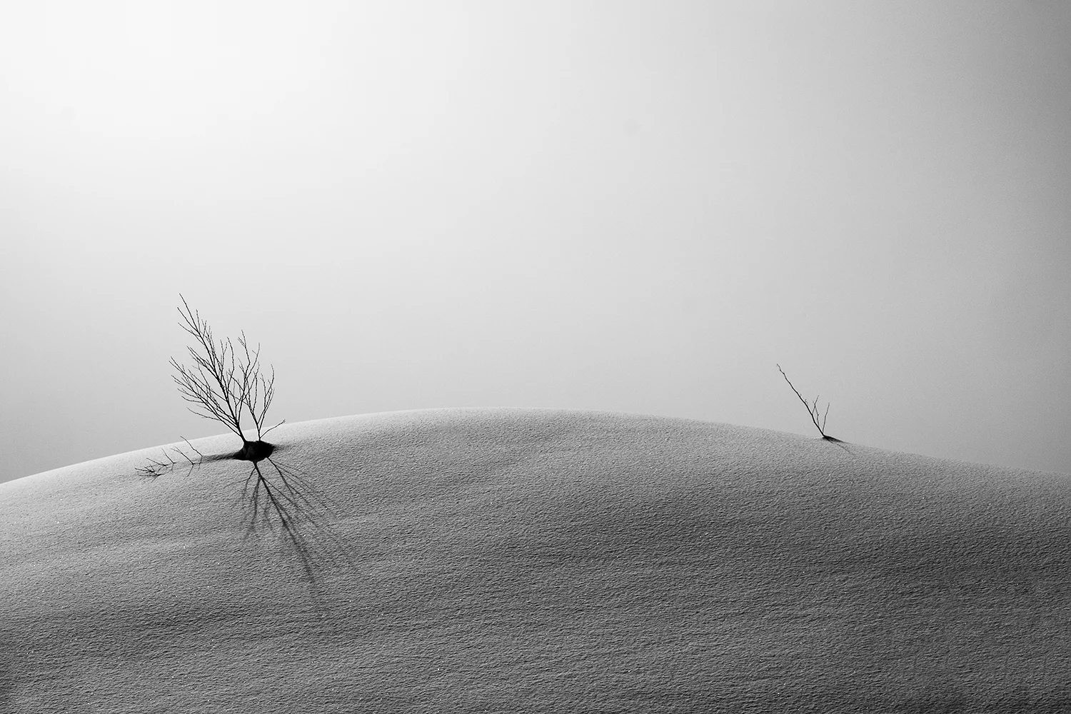 Untouched snow.