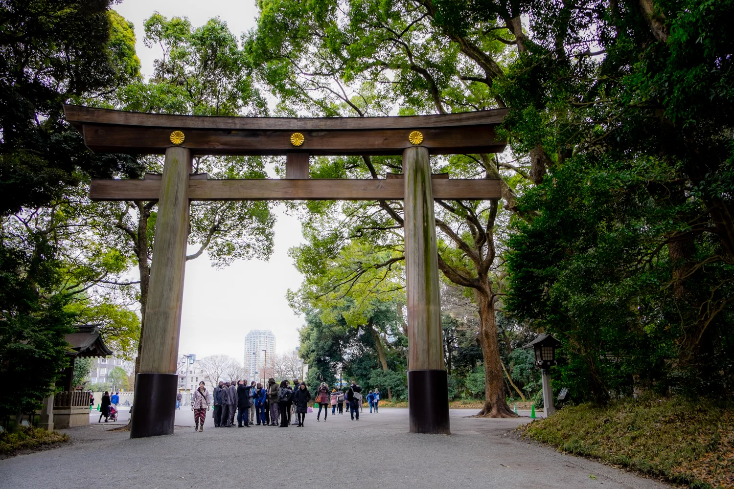 One of the massive gates at the entry to Yoyogi Park
