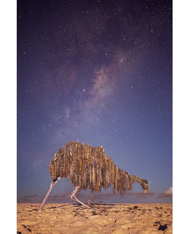 Intergalactic Emu

Headed down to Avoca last weekend to shoot this amazing sculpture by local artist Pete Rush, made entirely from materials washed up on the beach. I was lucky to have perfectly clear skies to capture the milky way rising behind it.