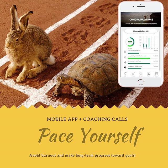 A lot of people want to feel like the rabbit before they commit to getting started. The rabbit seems confident and capable, but we know how this story ends. Be the tortoise. Take one... small... ugly... slow... step. Then don't stop stepping.
.
Akwai