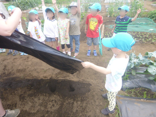 BKI-Preschool:farm2-black-plastic-cover-hand(BLUR).jpeg