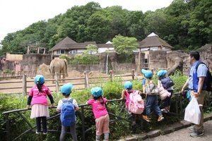 BKI-Preschool:excursion-zoo-elephant.jpg