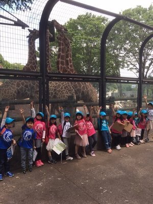 BKI-Preschool:excursion-giraffee.jpeg