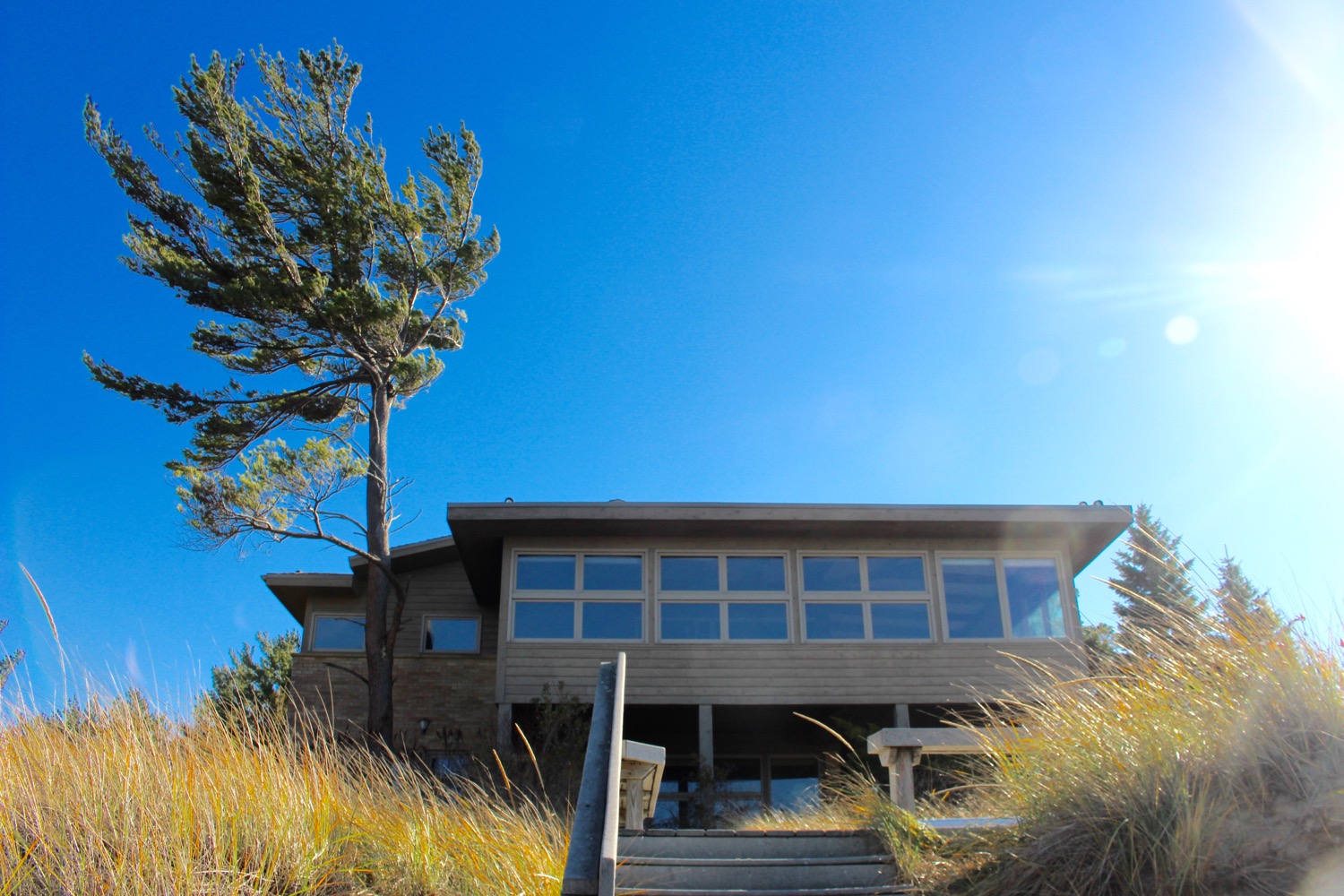 COTTAGE FRONT WITH PINE.jpg