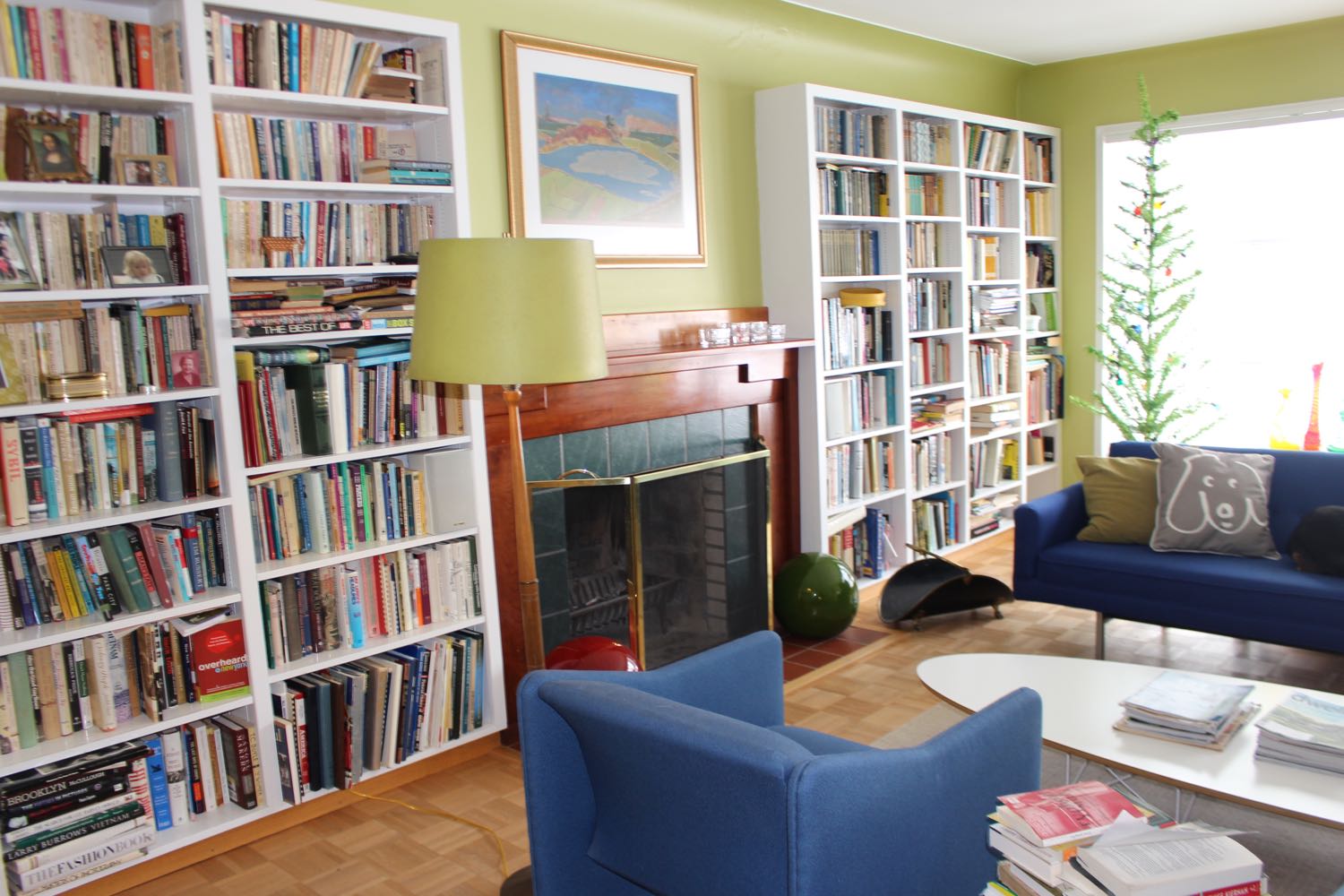 Living Room  Bookshelves and Fireplace