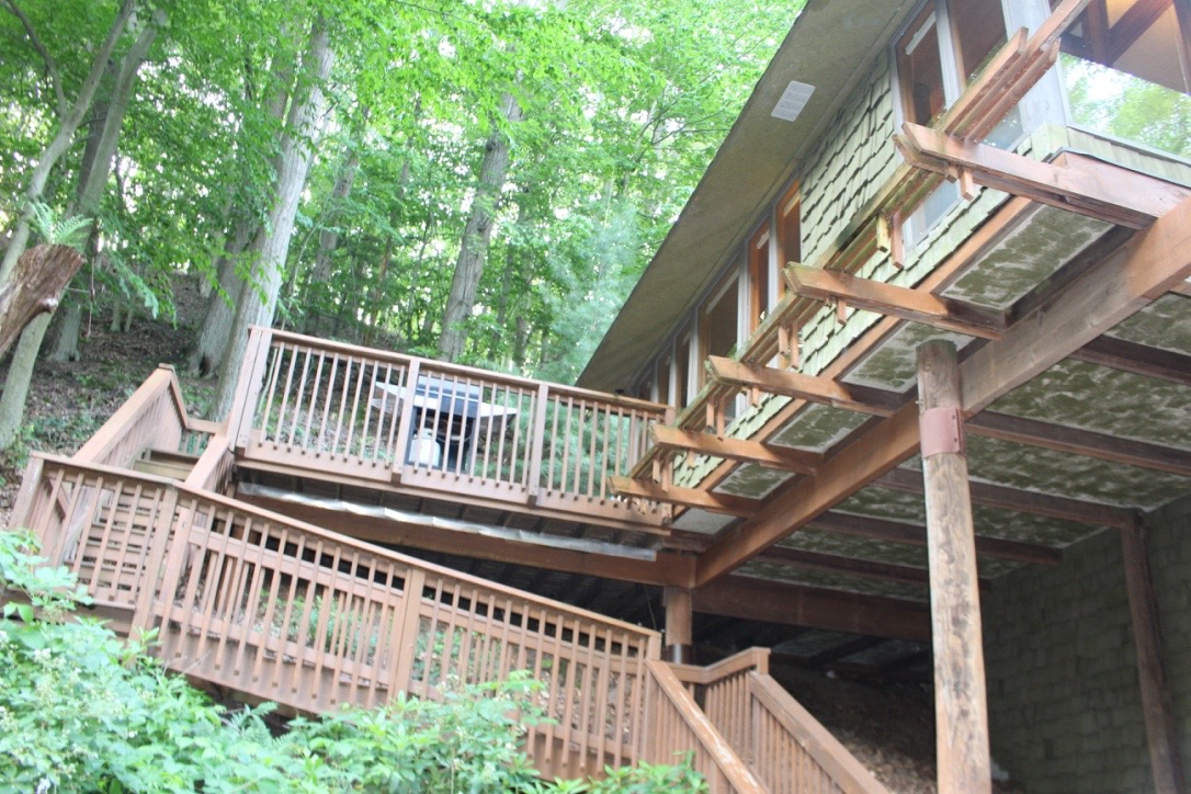 MORE STAIRS, VIEW OF GREEN UNDERSIDE, ANOTHER REFERENCE TO TREES IN NATURE.
