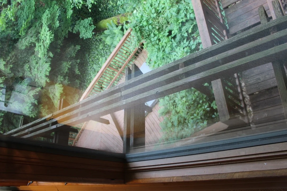VIEW DOWN FROM FULL LENGTH LIVING ROOM CORNER WINDOWS