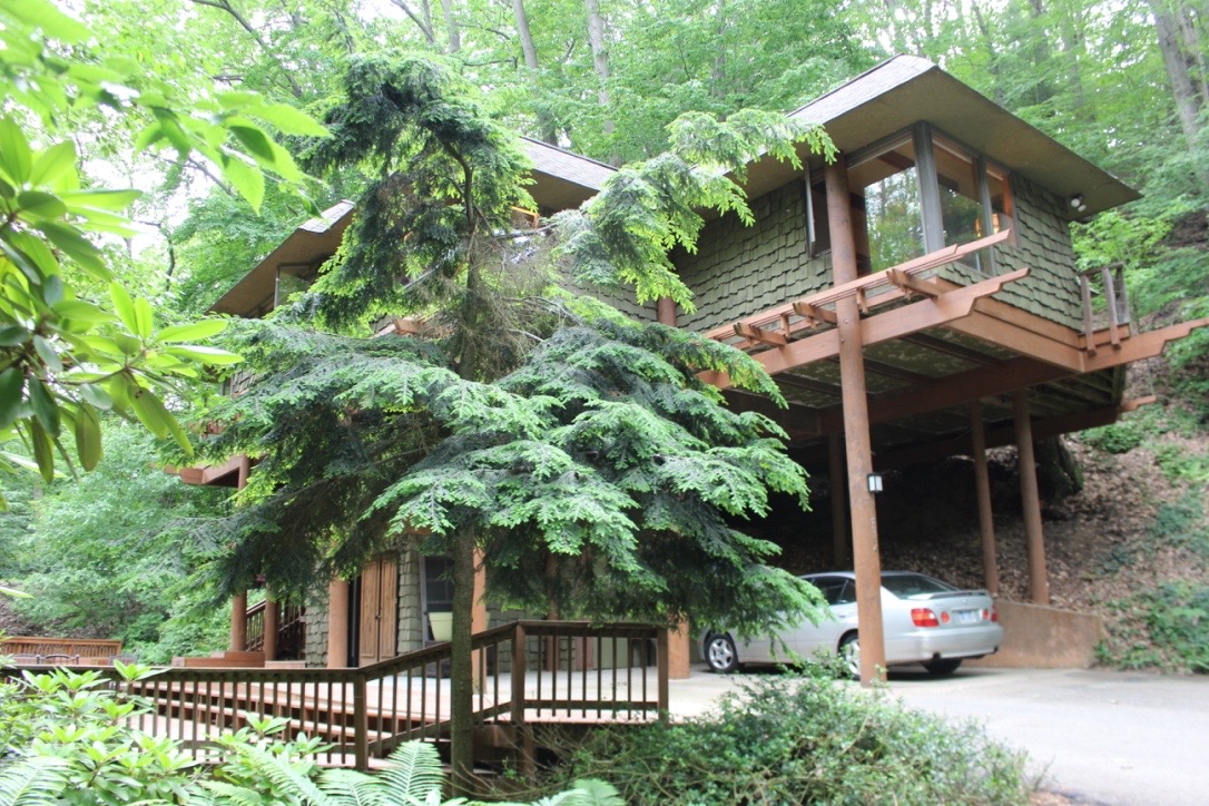 TreeTops is nearly camouflaged in the summer.