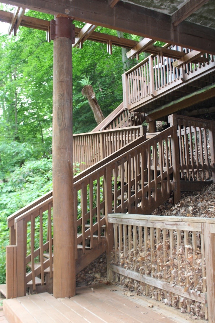 These are the stairs you use to climb the tree house.
