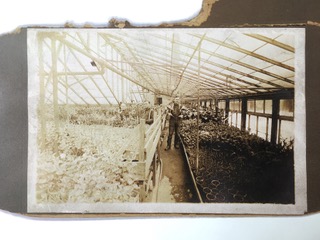 Old Greenhouse Interior.jpeg