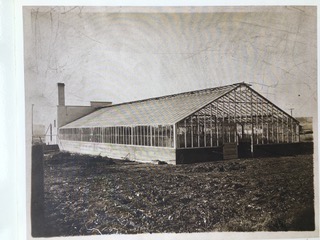 Old Greenhouse Sided House (1).jpeg