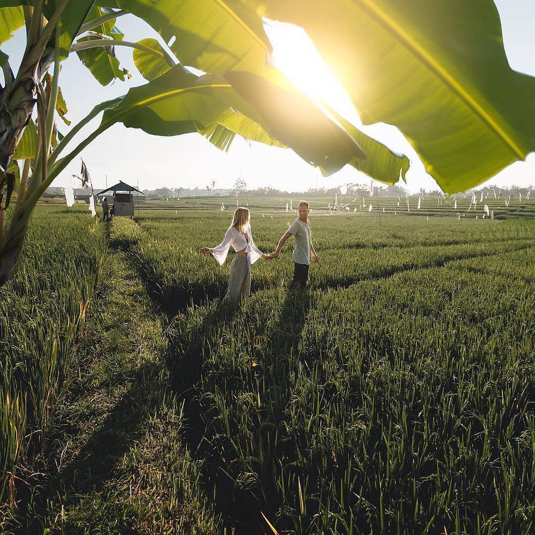 1 Well Travelled Bride Wedding Venue Desa Visesa Ubud.jpg