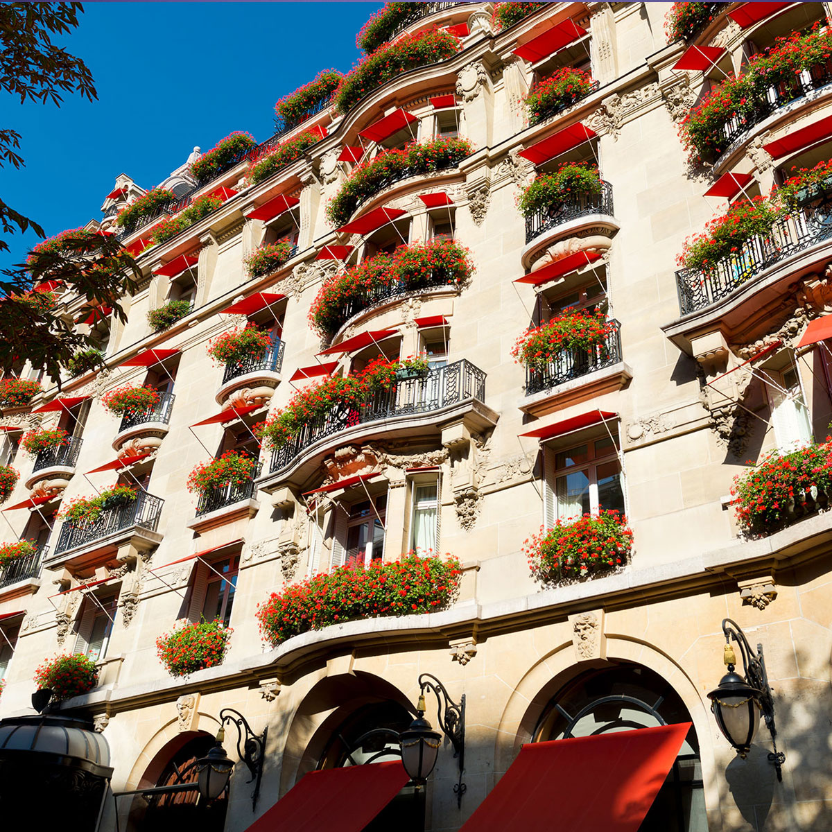 paris-plaza-athenee-facade1_Square.jpg