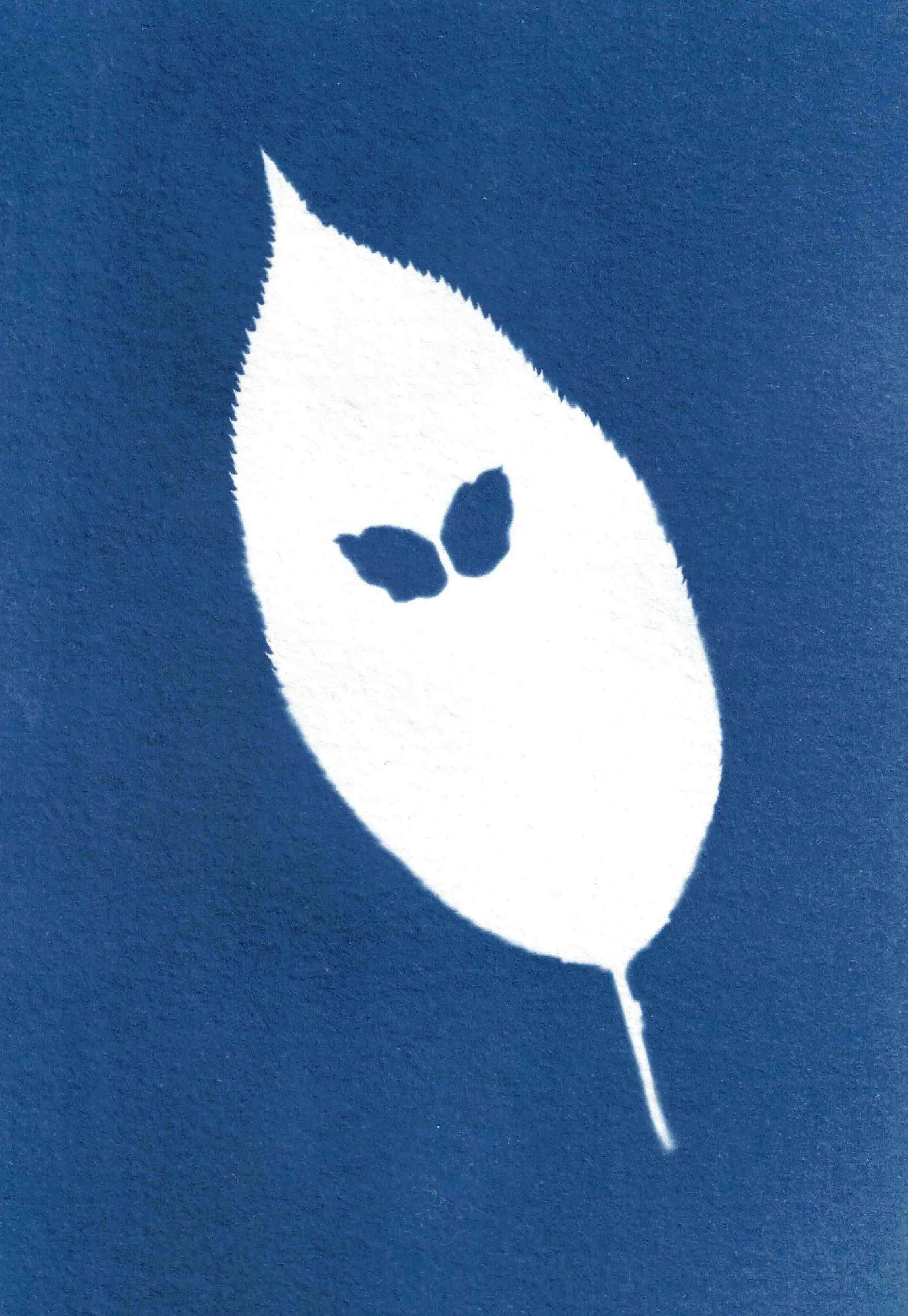 Sakura Leaf II
 4 by 6 in. 
 2026 