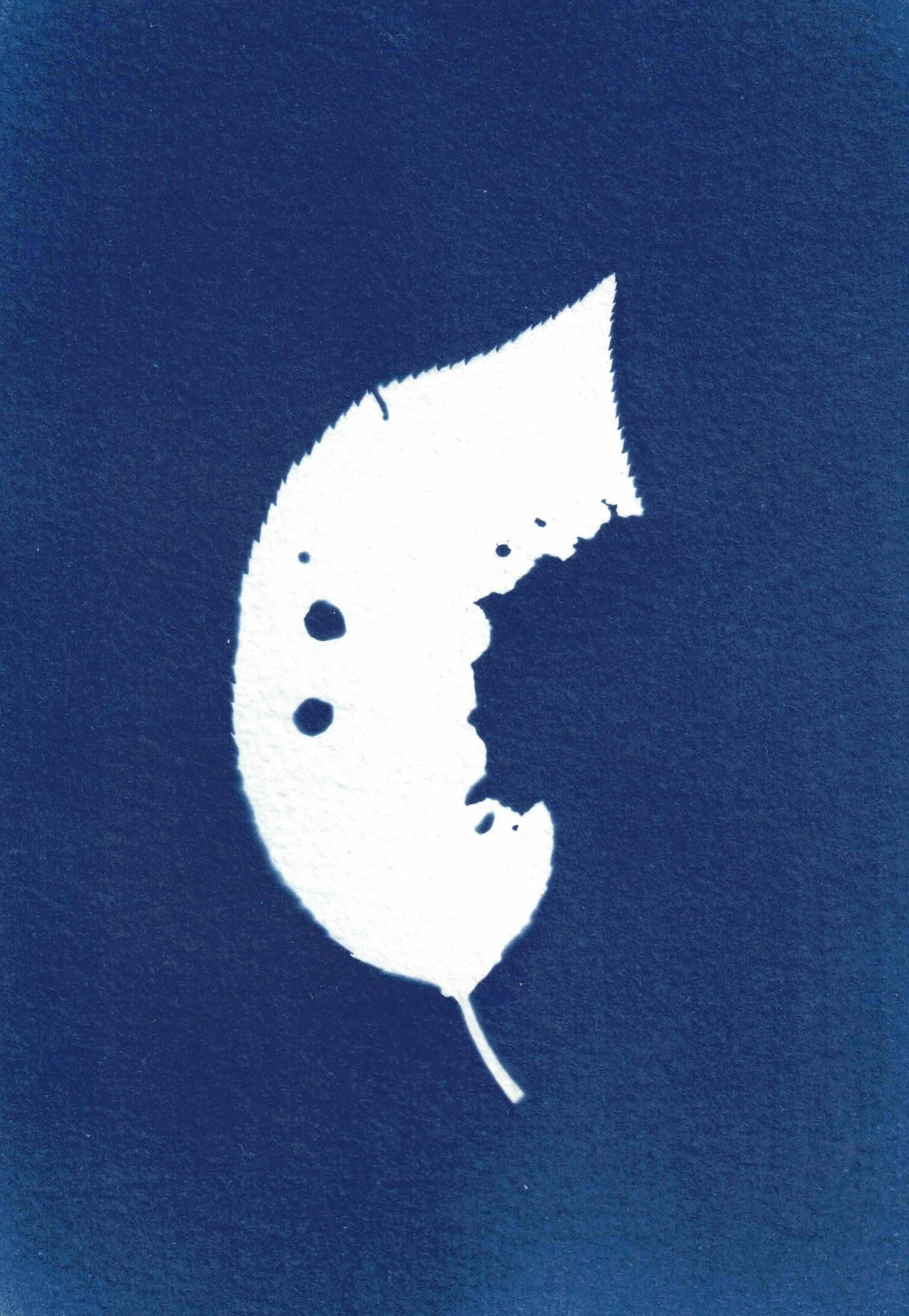 Sakura Leaf I
 4 by 6 in. 
 2026 