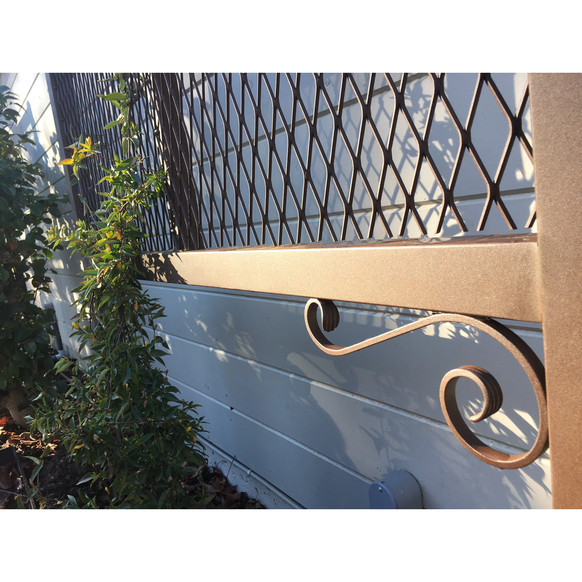 trellis 9A (1).jpg