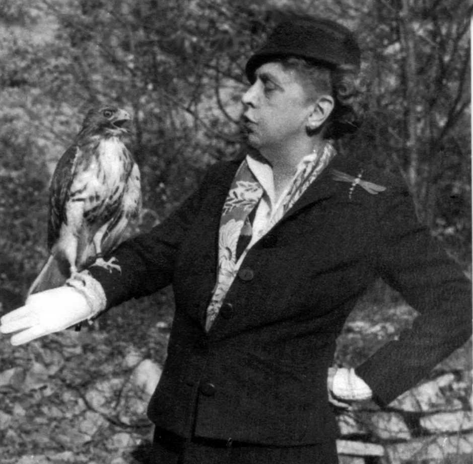 ‘Paying tribute to Mrs. C. N. Edge’, Rosalie Edge with red-tailed hawk