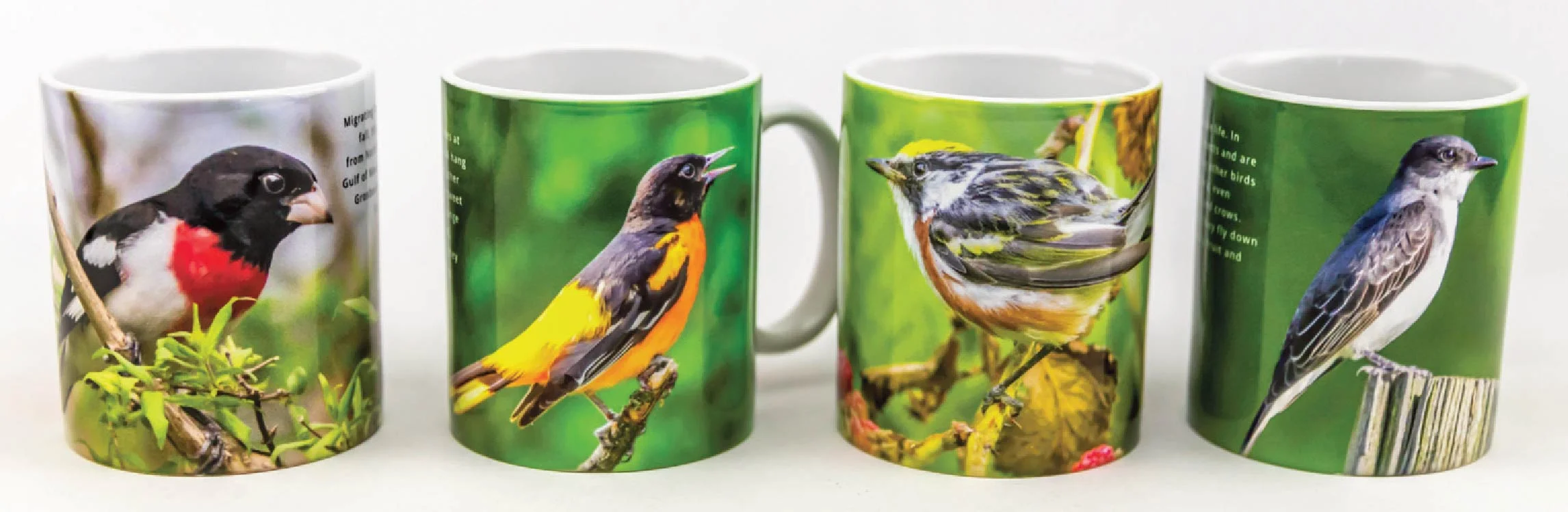 flyer-lazyx-mugs_birds and beans-02.jpg