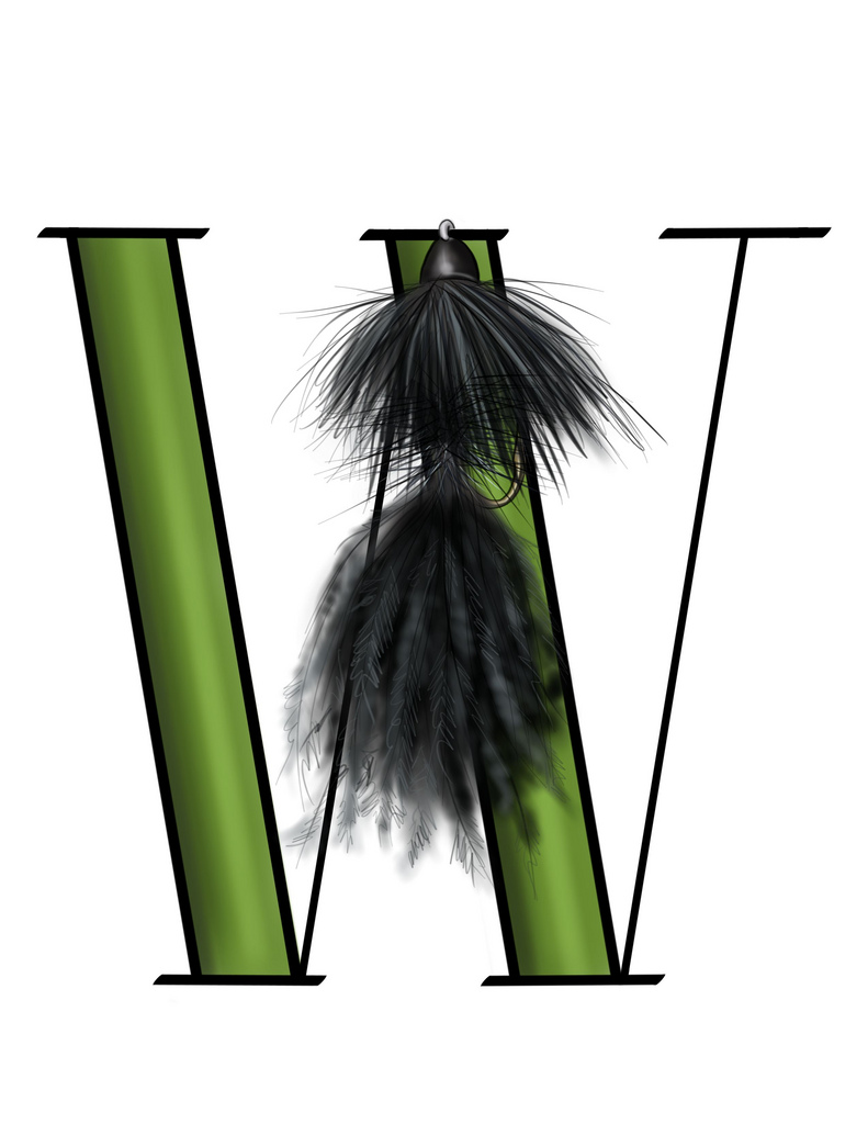 W - wooly bugger_5661807941_l.jpg