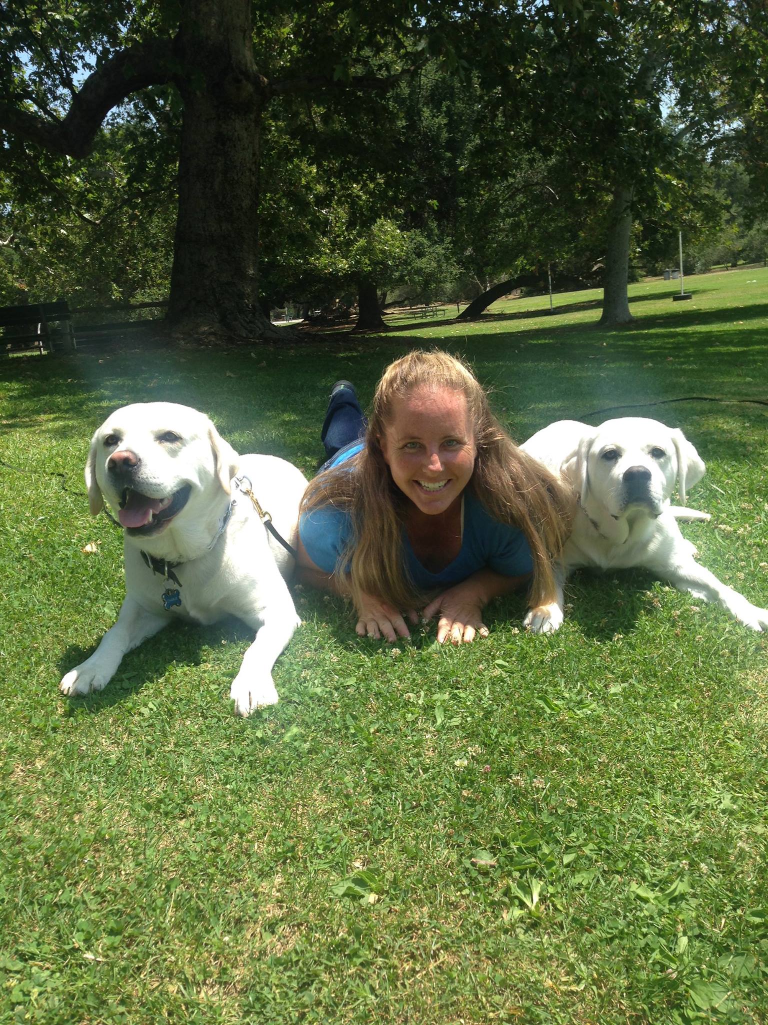 dog boot camp boarding