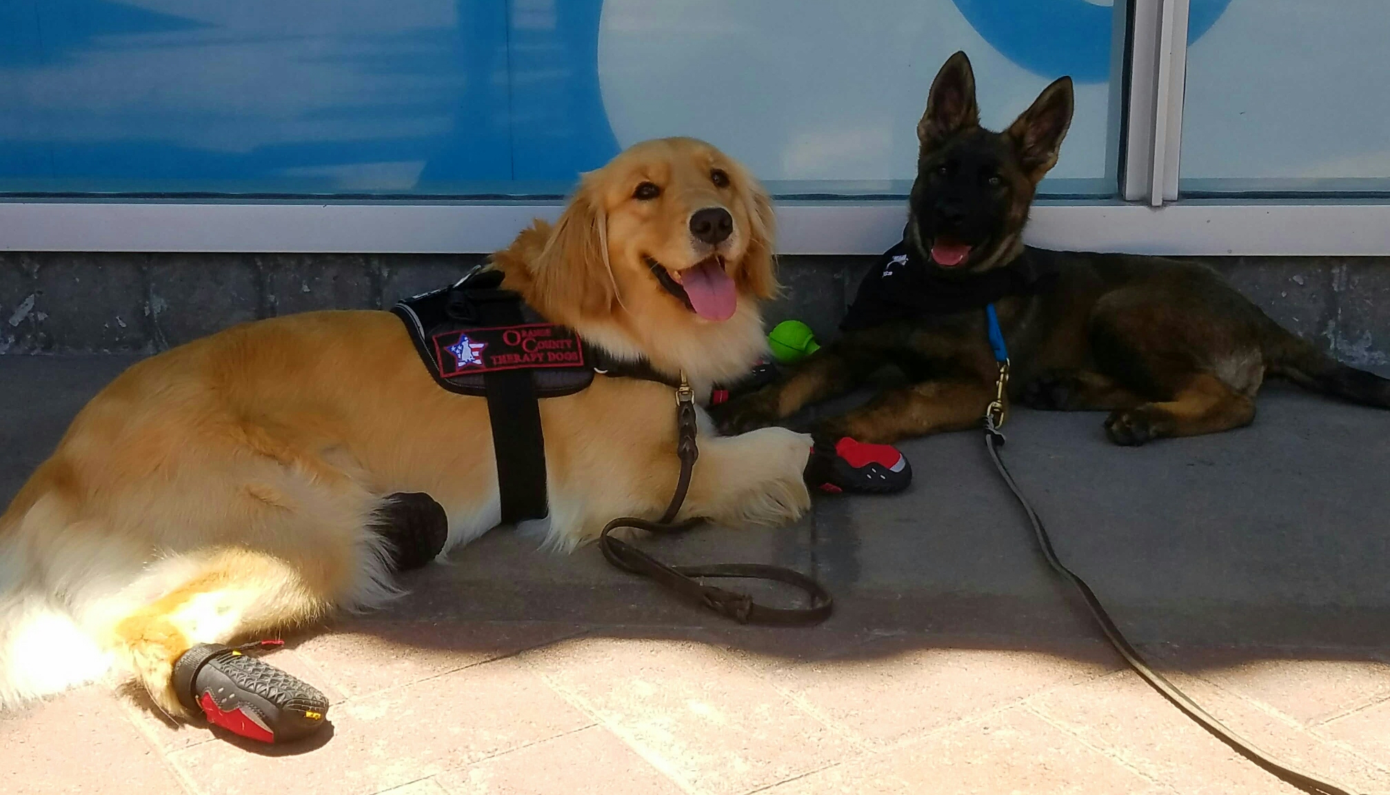 Kahli & Cosmo 2.jpg