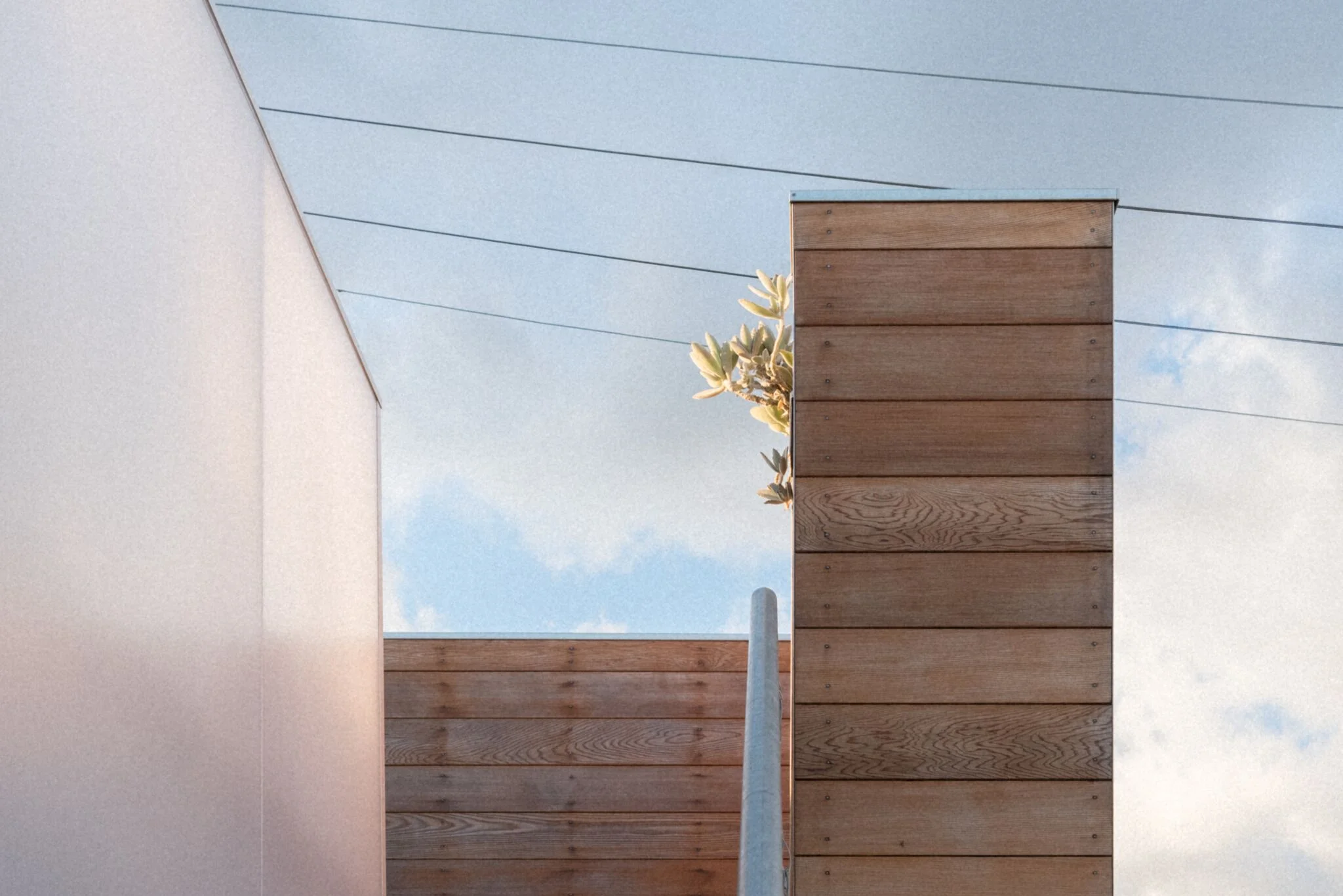 photography by mathieu cocho