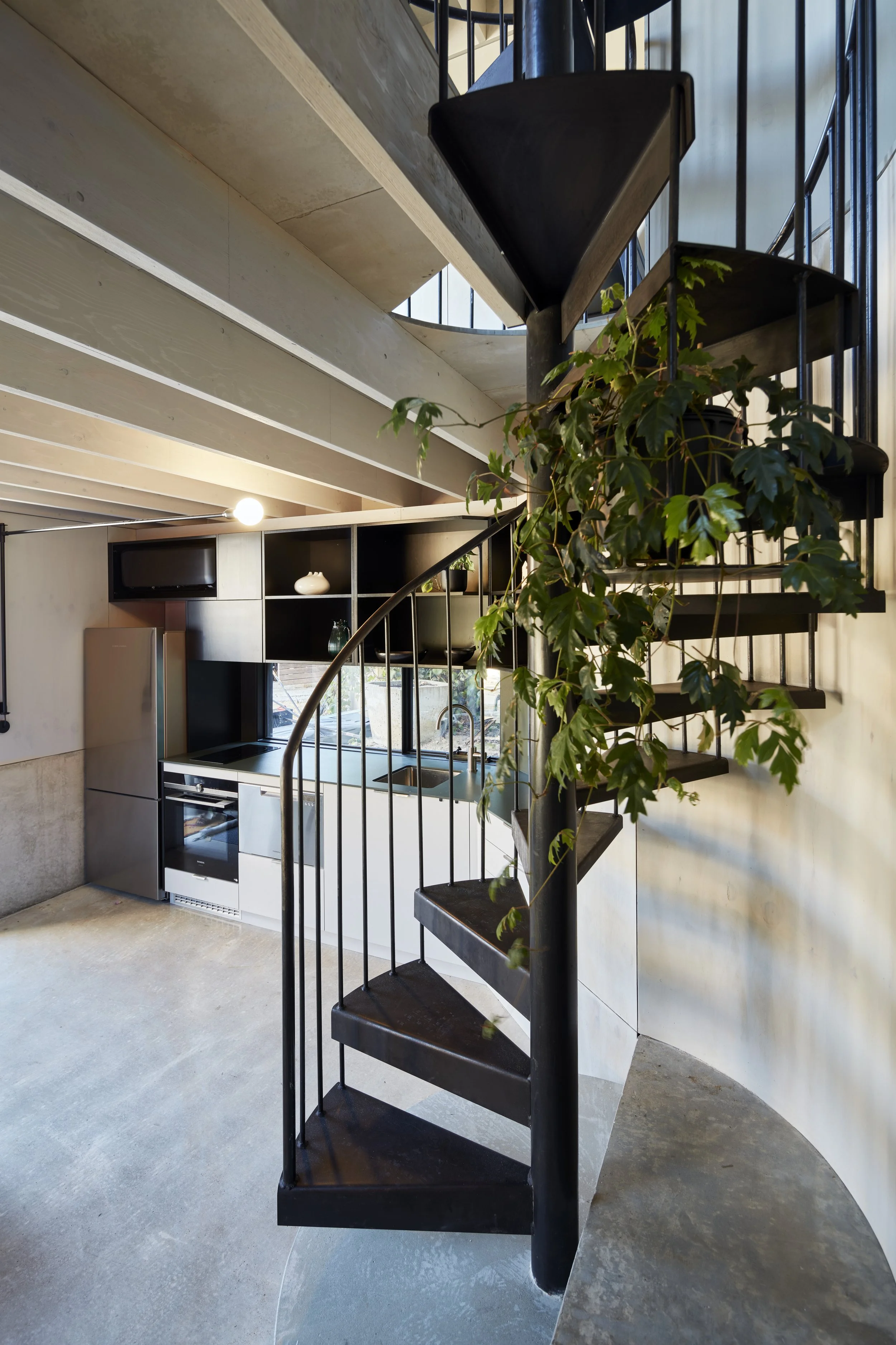 Bulwer 20231130_1299.jpg