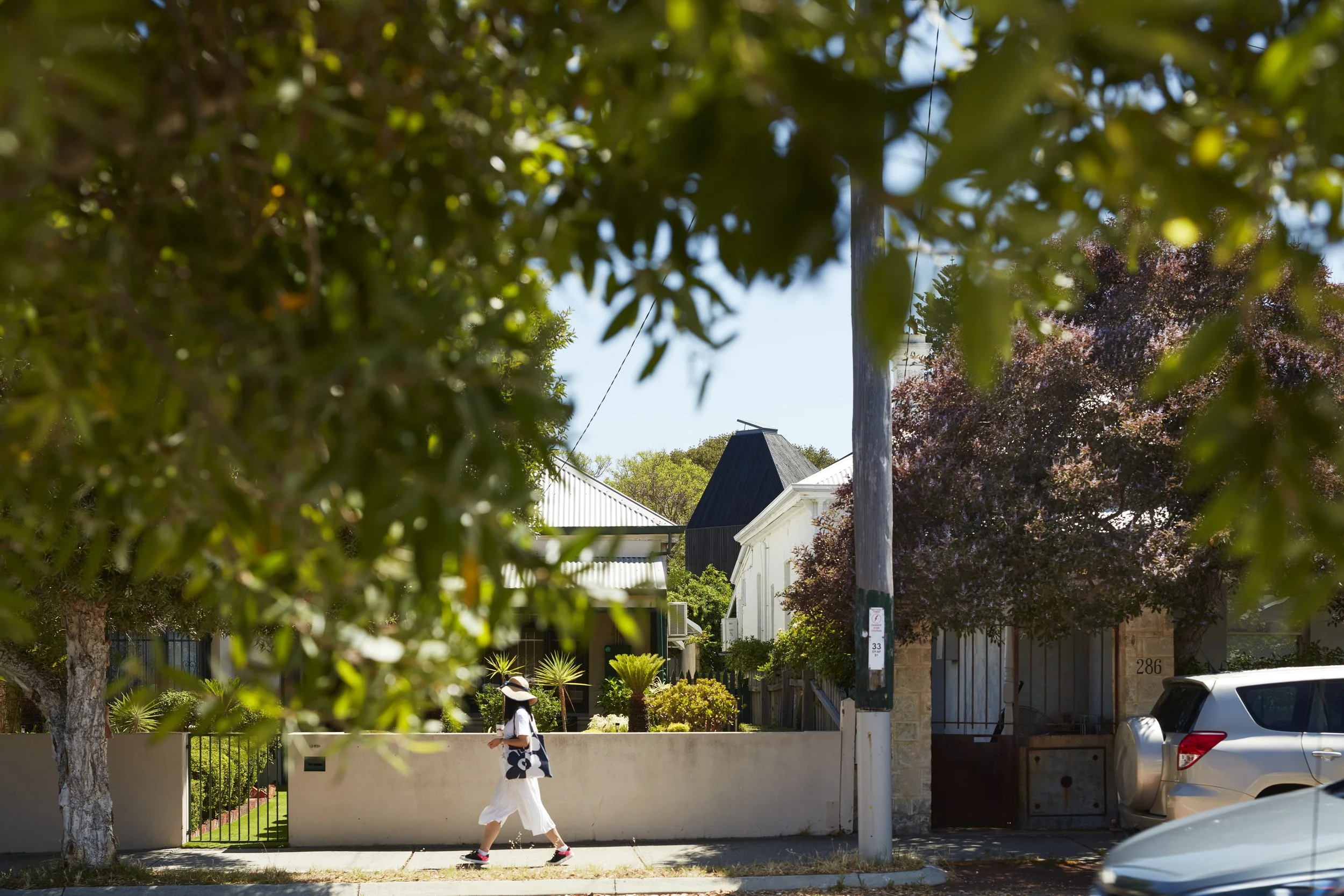 Bulwer 20231201_1370A.jpg