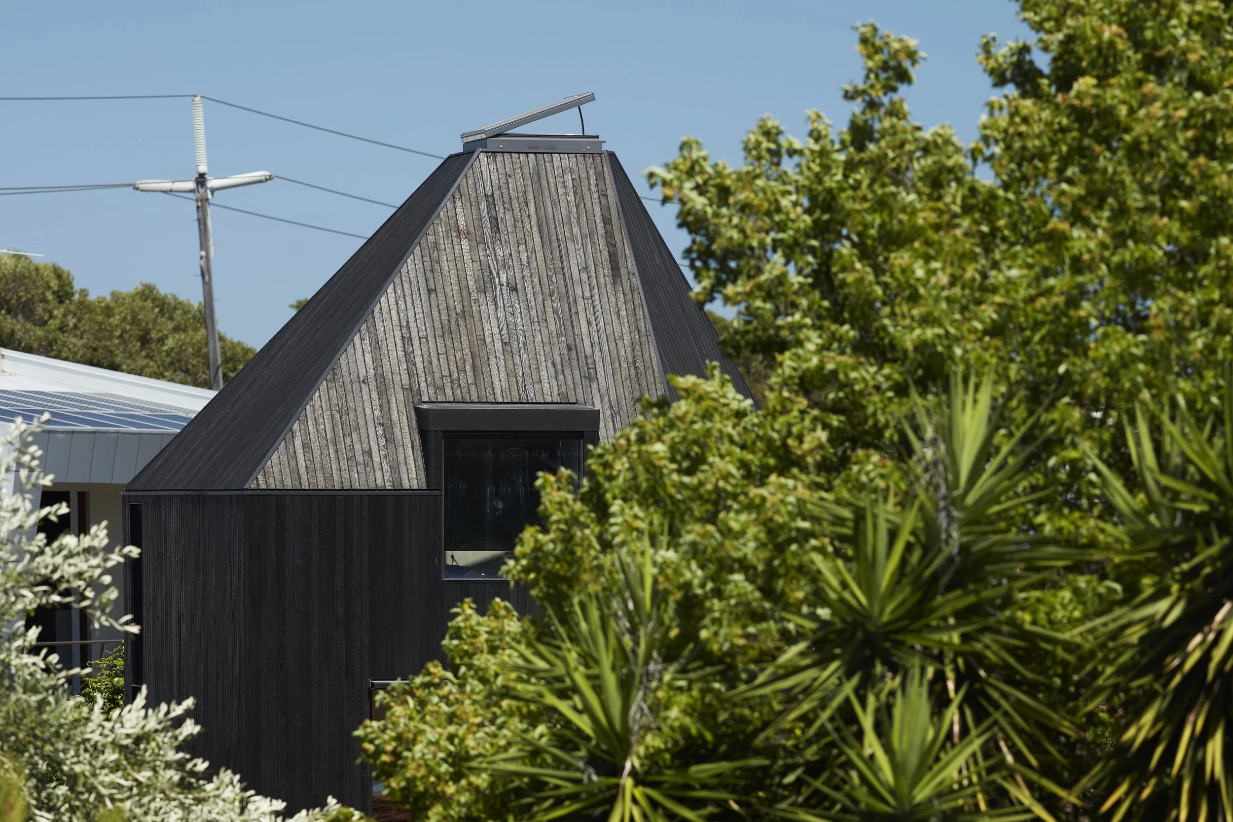 Bulwer 20231201_1378.jpg