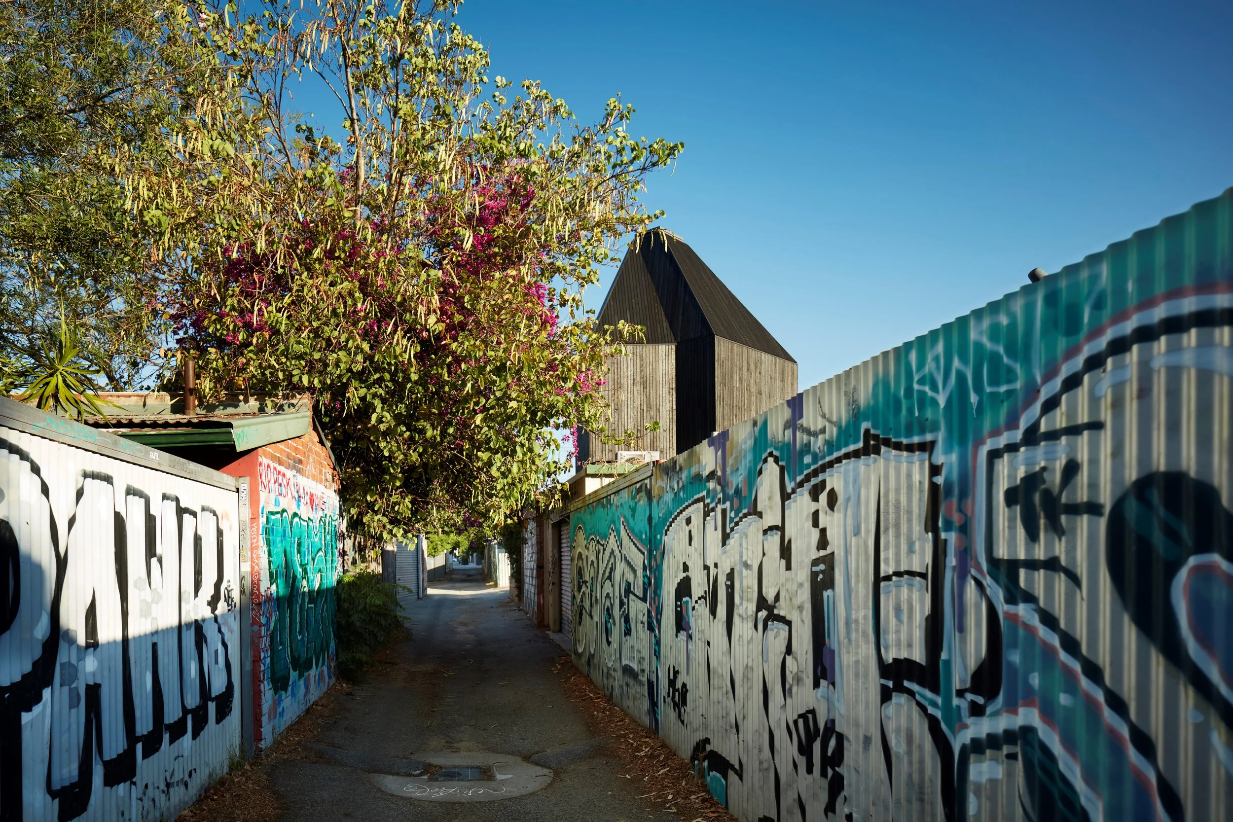 Bulwer 20231130_1348.jpg reduced.jpg