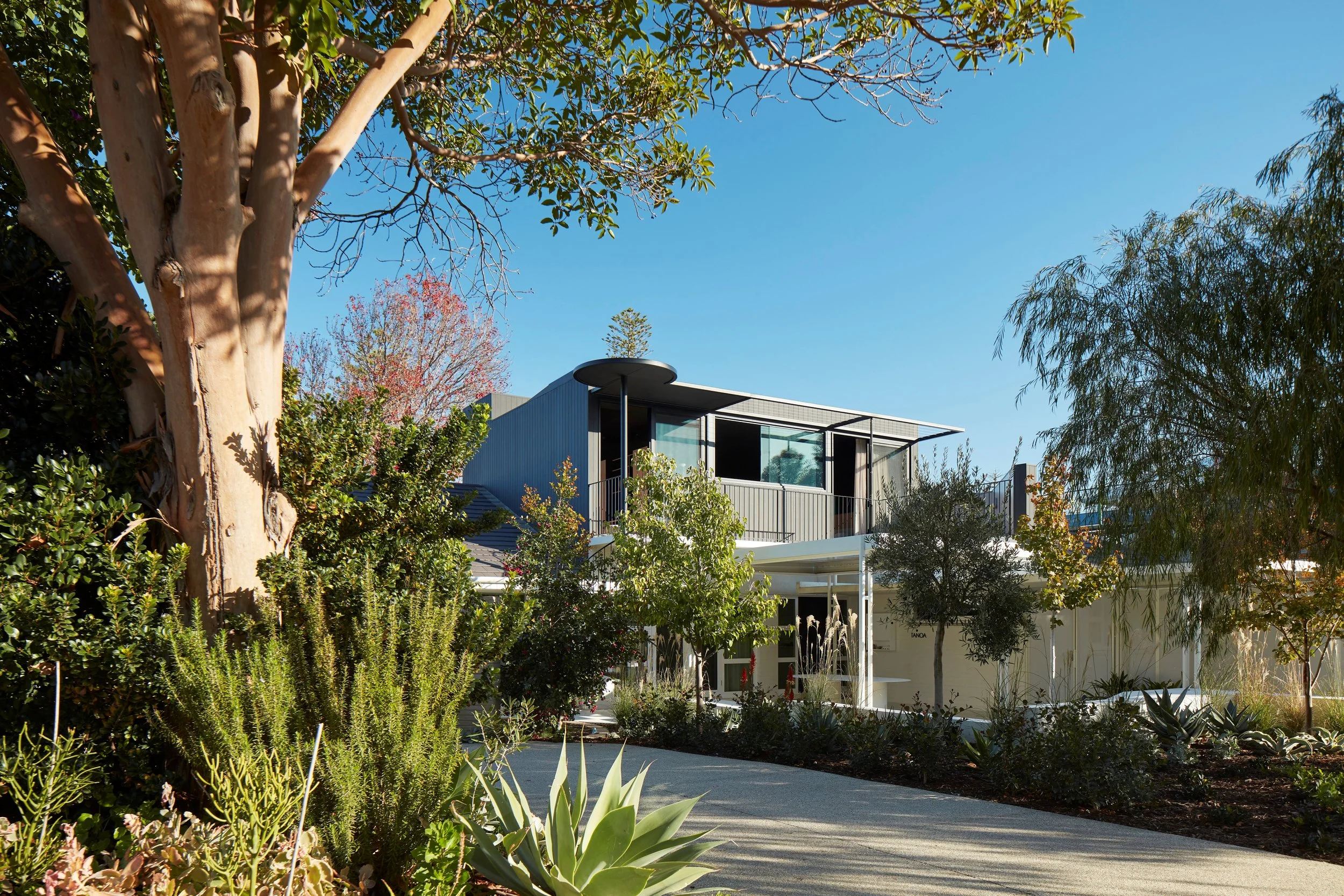 tanoa (16).jpgreduced.jpg