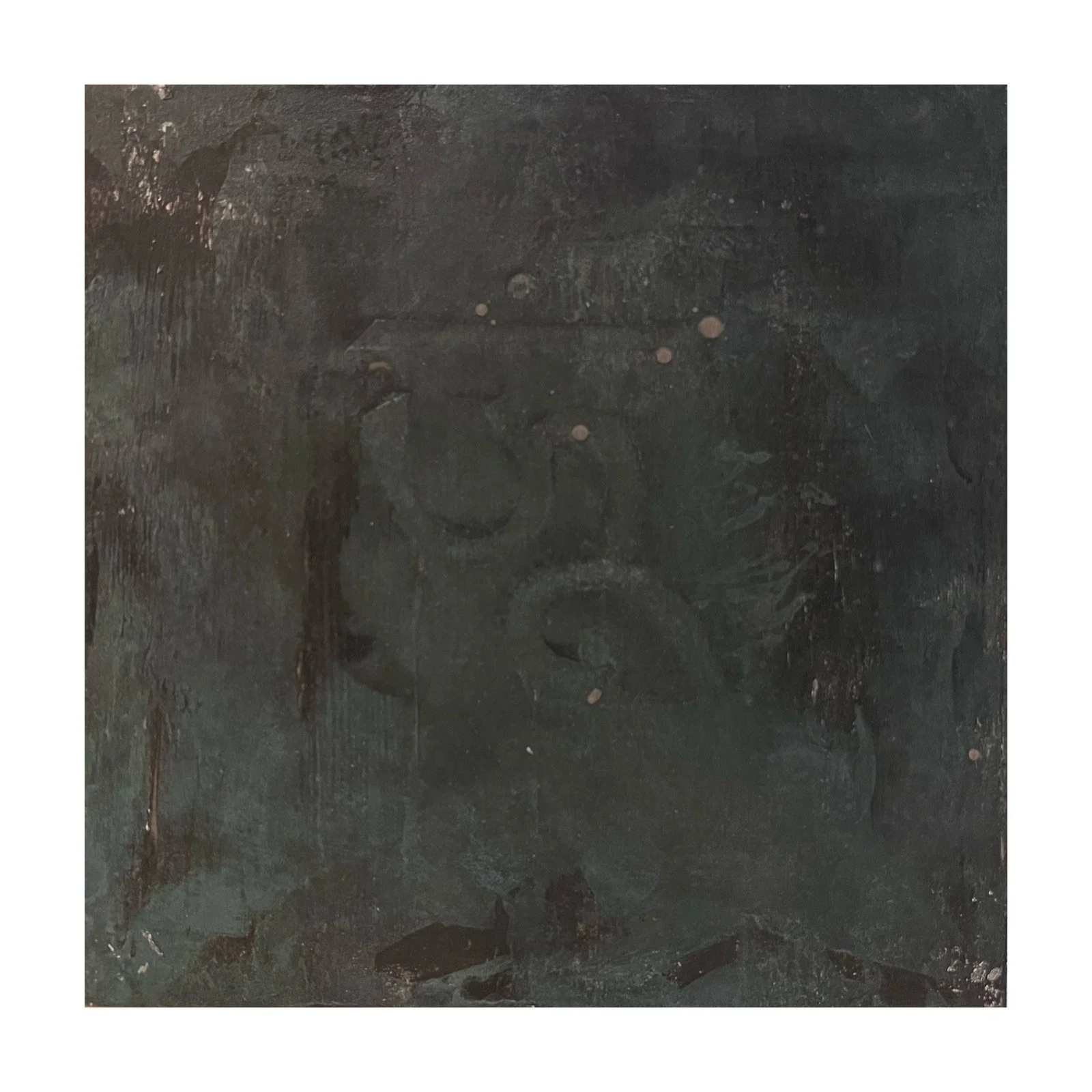 Worm Fossil 8x8"