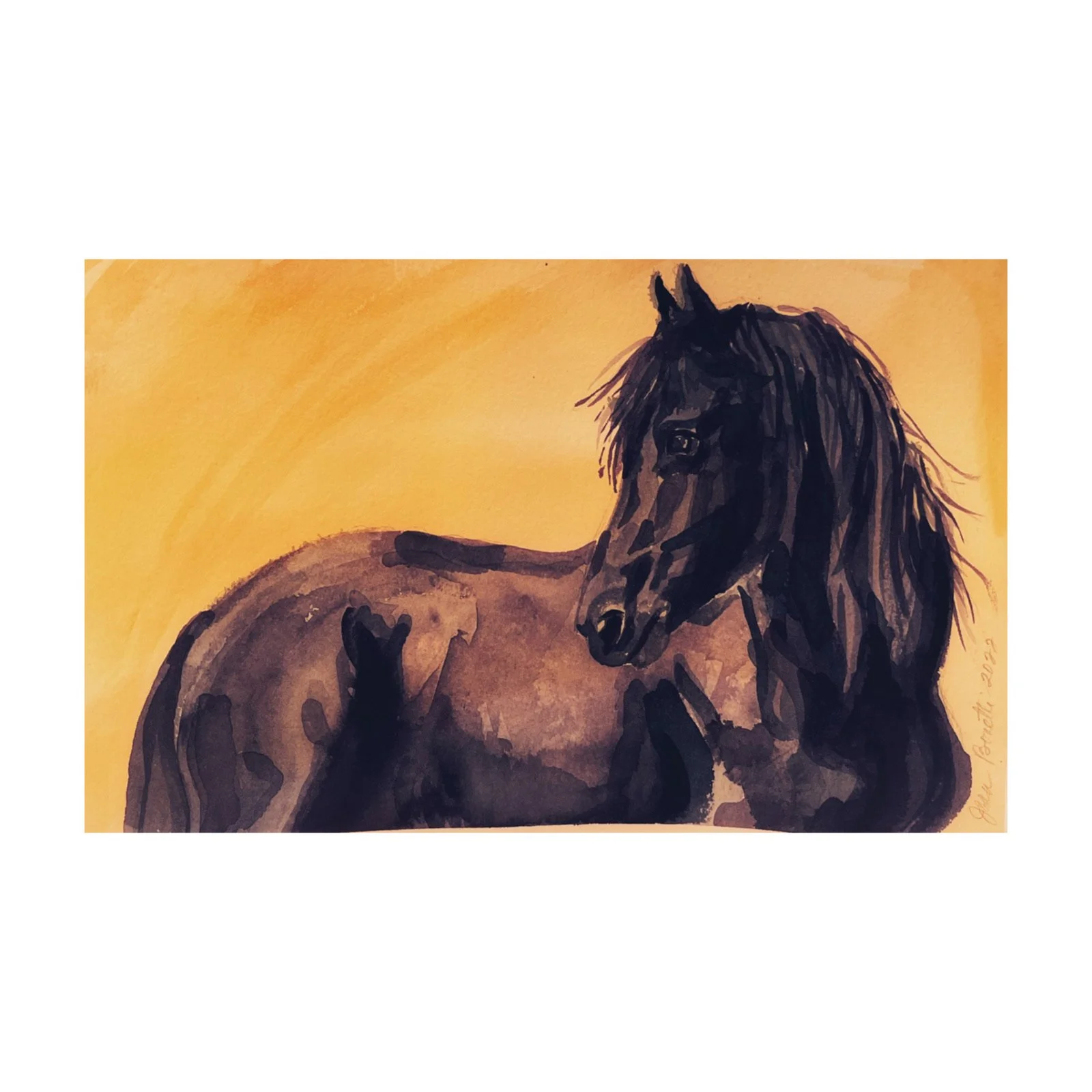 Black Beauty 10.5x8.5"